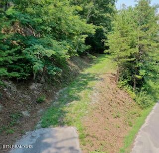 165 Anatole Pass Townsend TN 37882