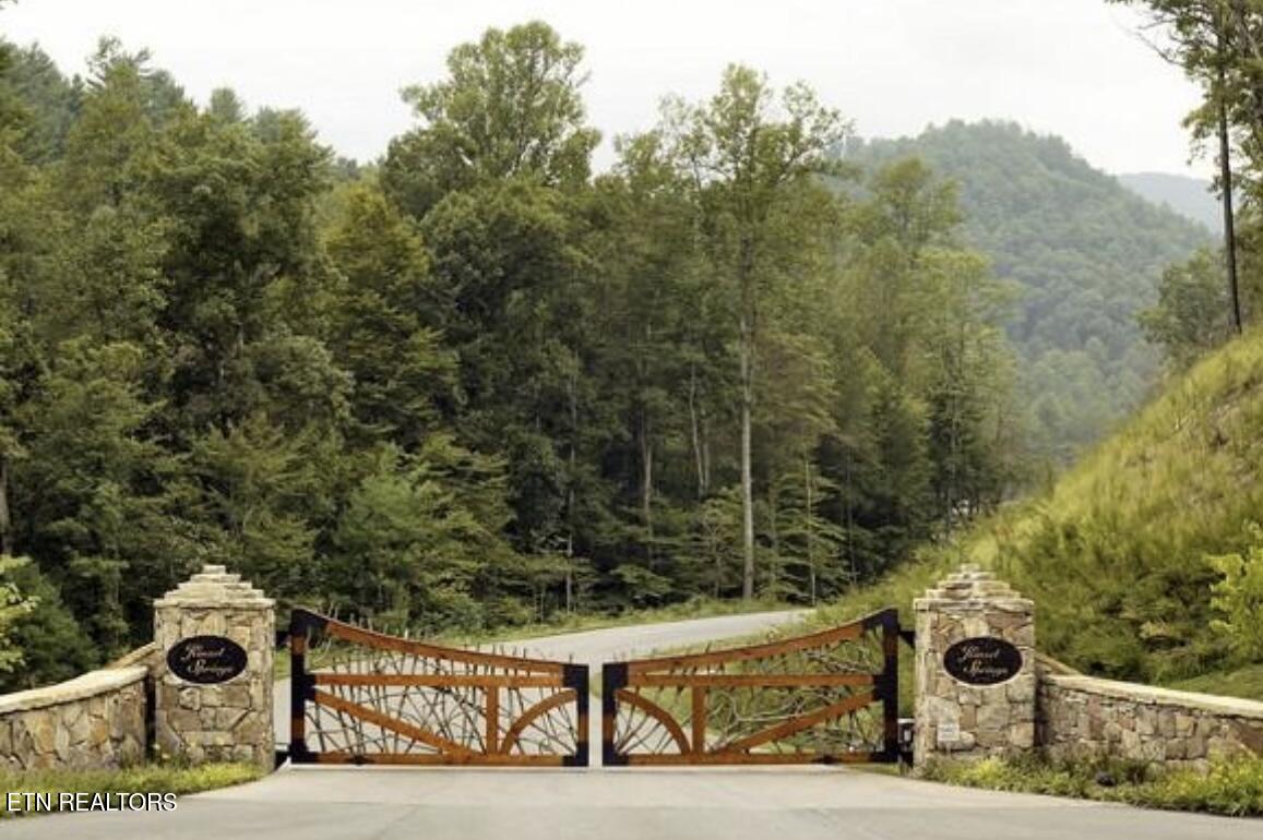 165 Anatole Pass Townsend TN 37882