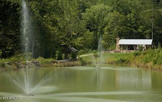 165 Anatole Pass Townsend TN 37882