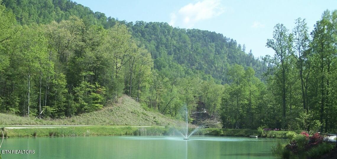 165 Anatole Pass Townsend TN 37882