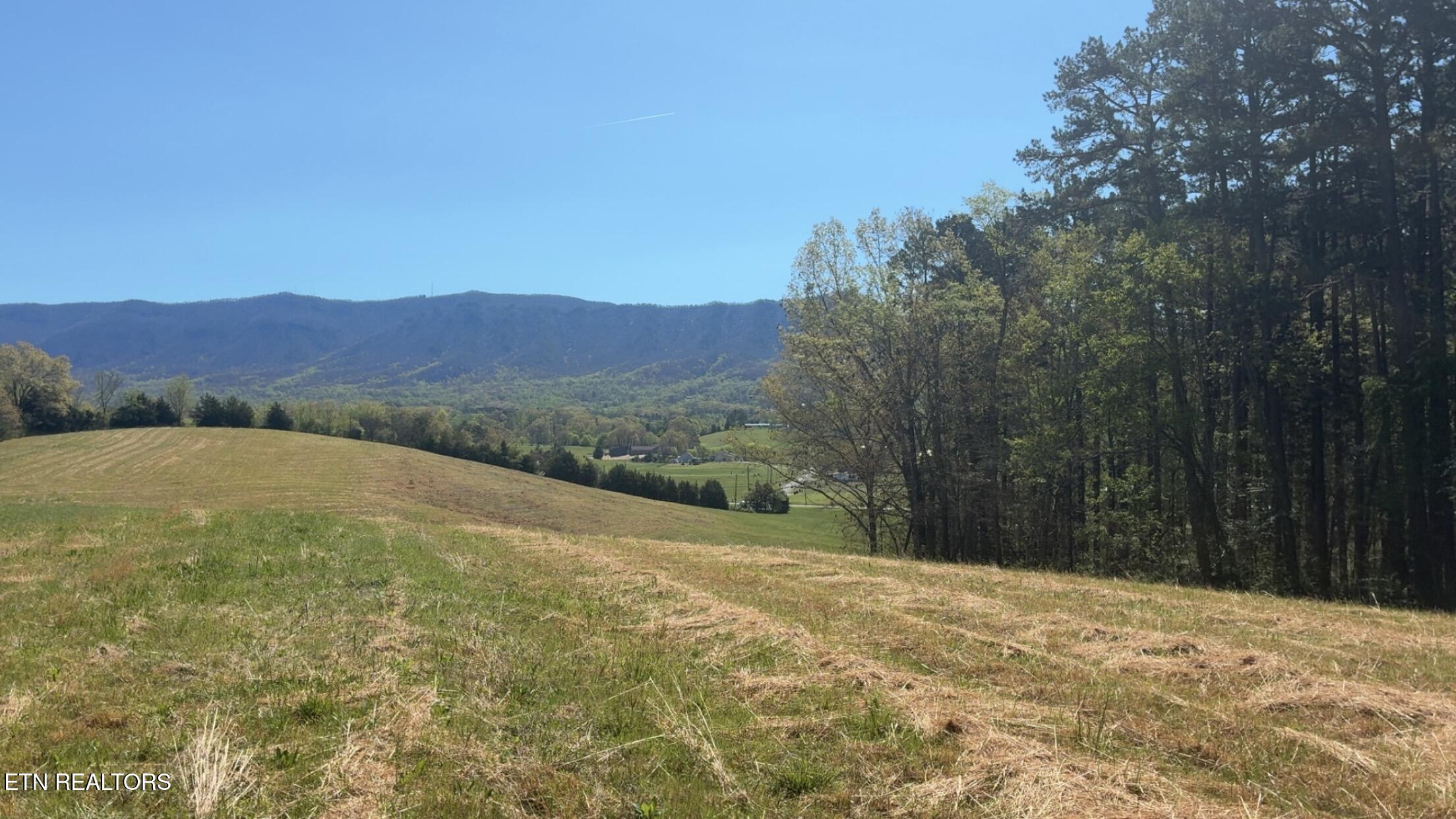 Highway 411 Sevierville TN 37876