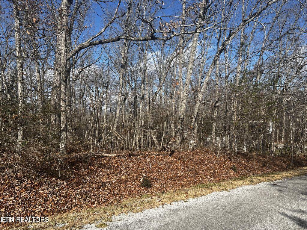 290 Kings Down Drive Crossville TN 38558
