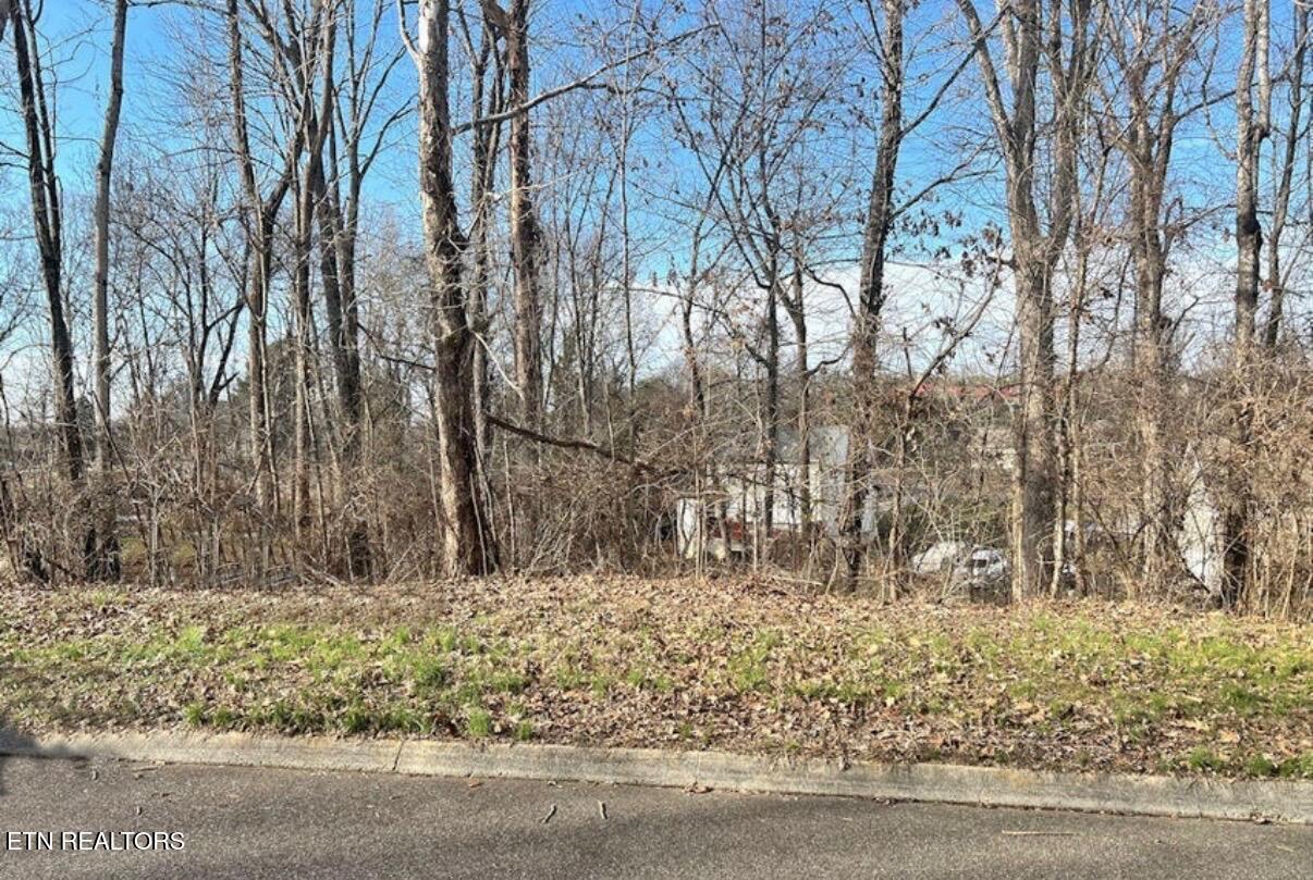 6024 Tennyson Drive Knoxville TN 37909