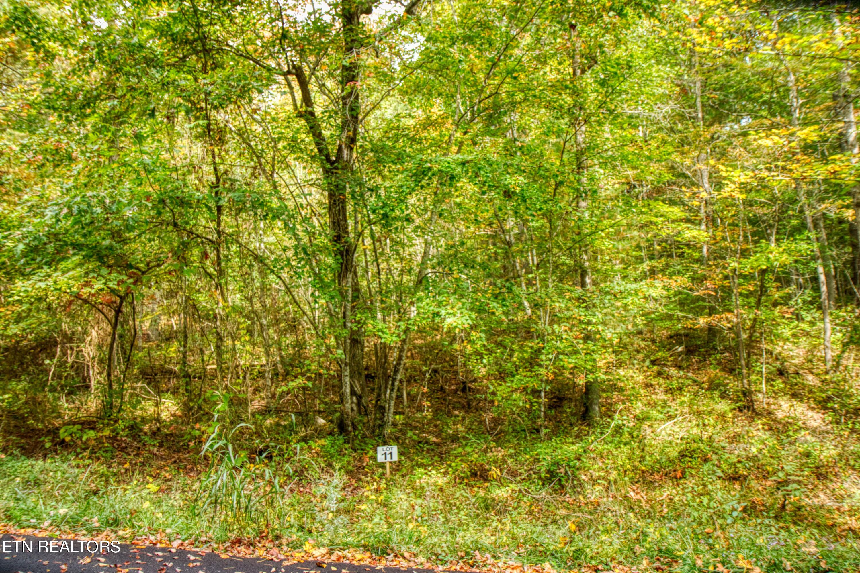 Lot 11 Old Mount Helen Road Allardt TN 38504
