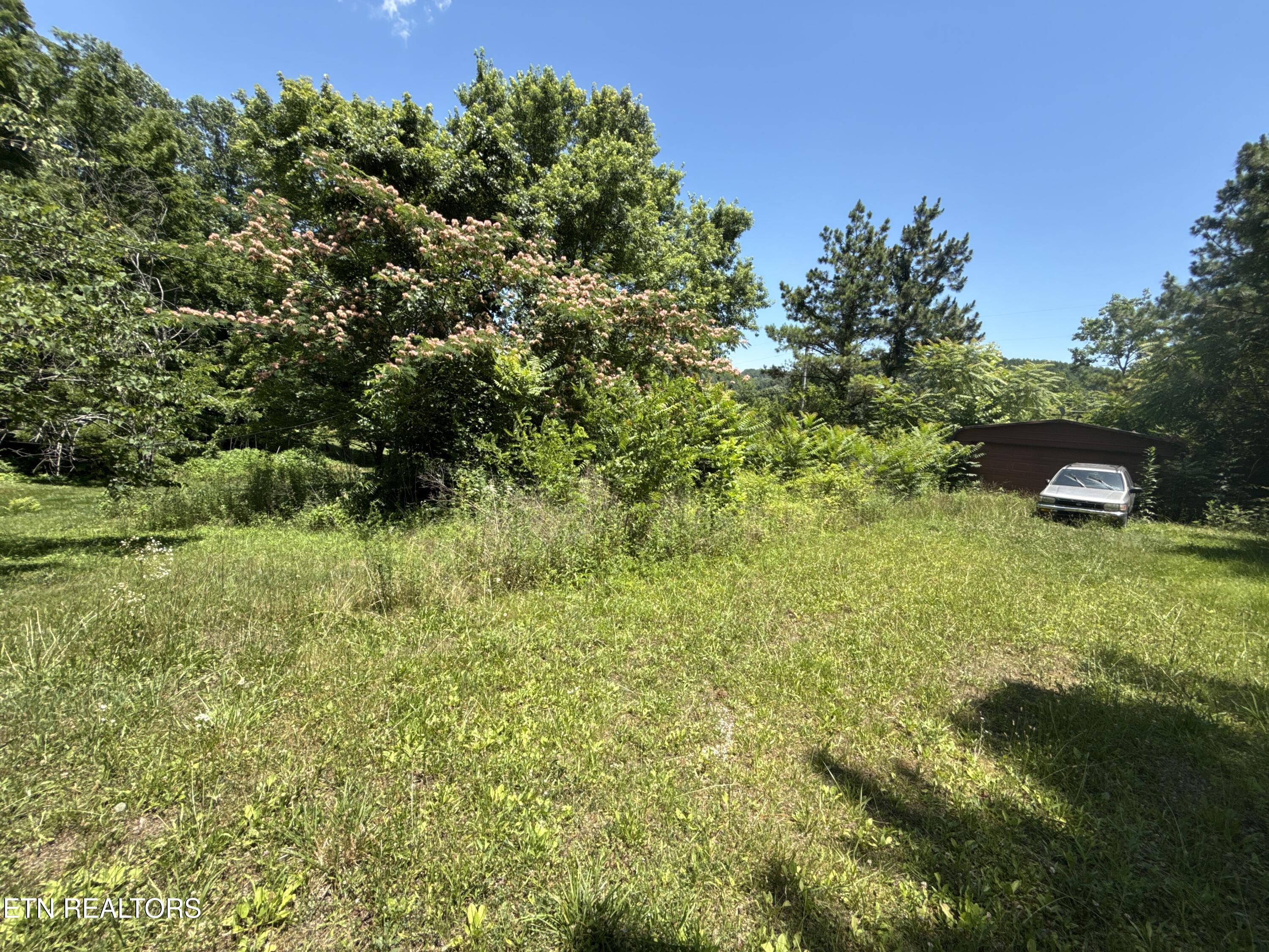 1235 Sharp Lane Caryville TN 37714