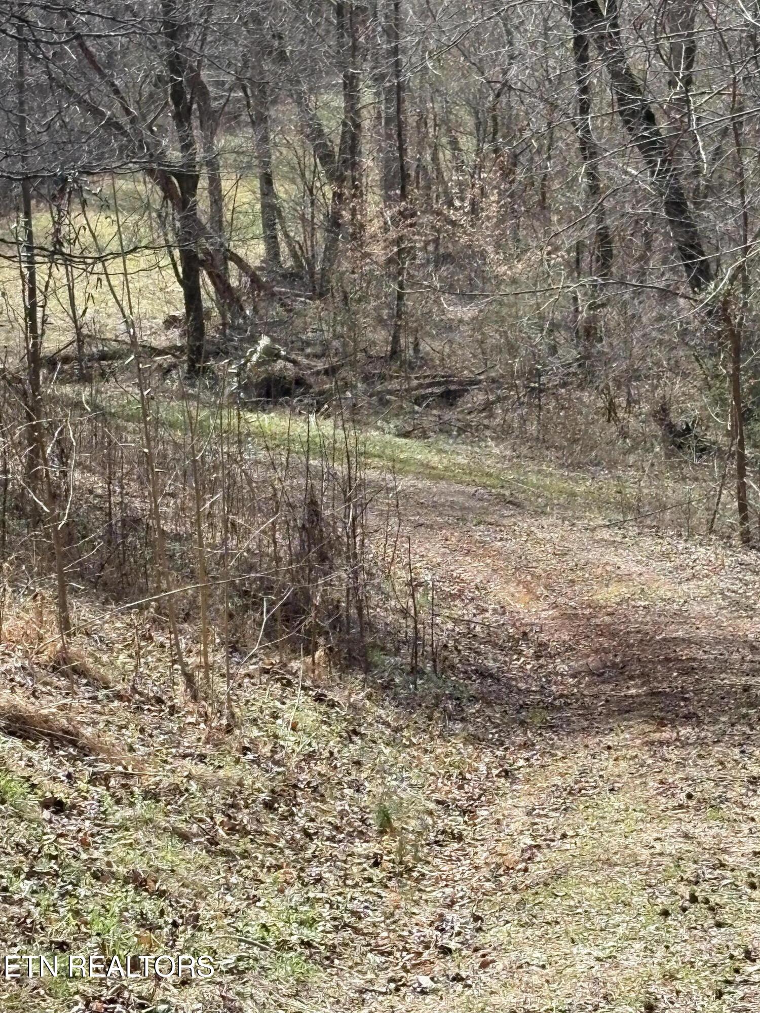 809 State Highway 310 Englewood TN 37329