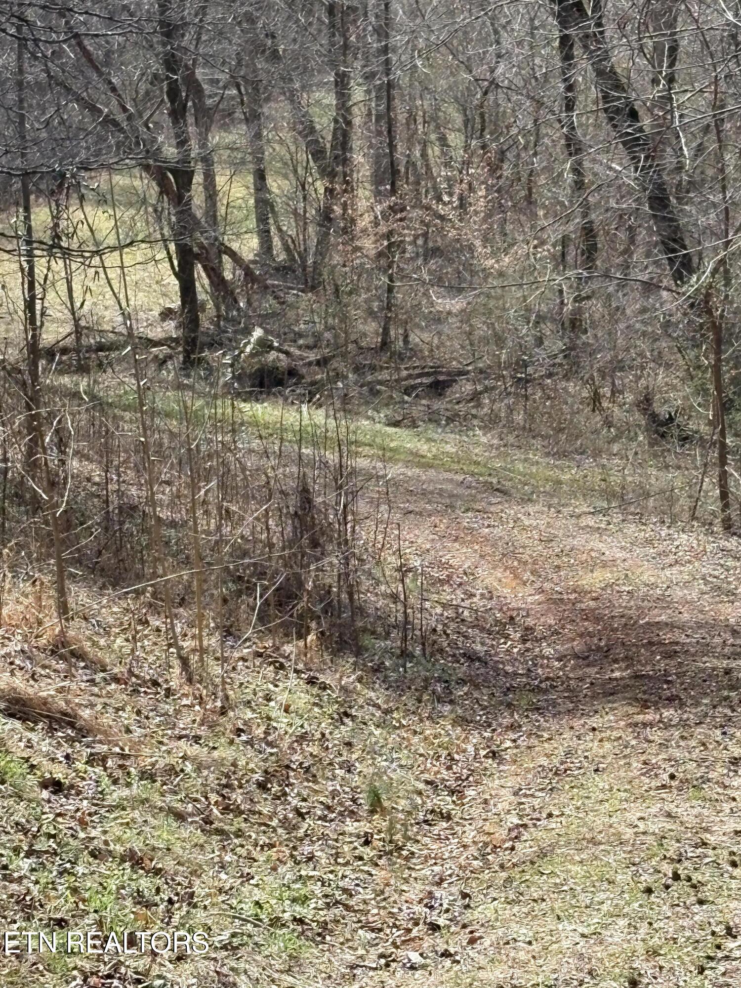 809 State Highway 310 Englewood TN 37329