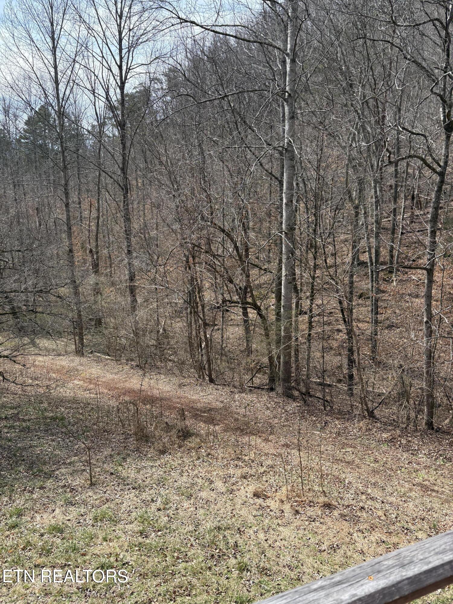 809 State Highway 310 Englewood TN 37329