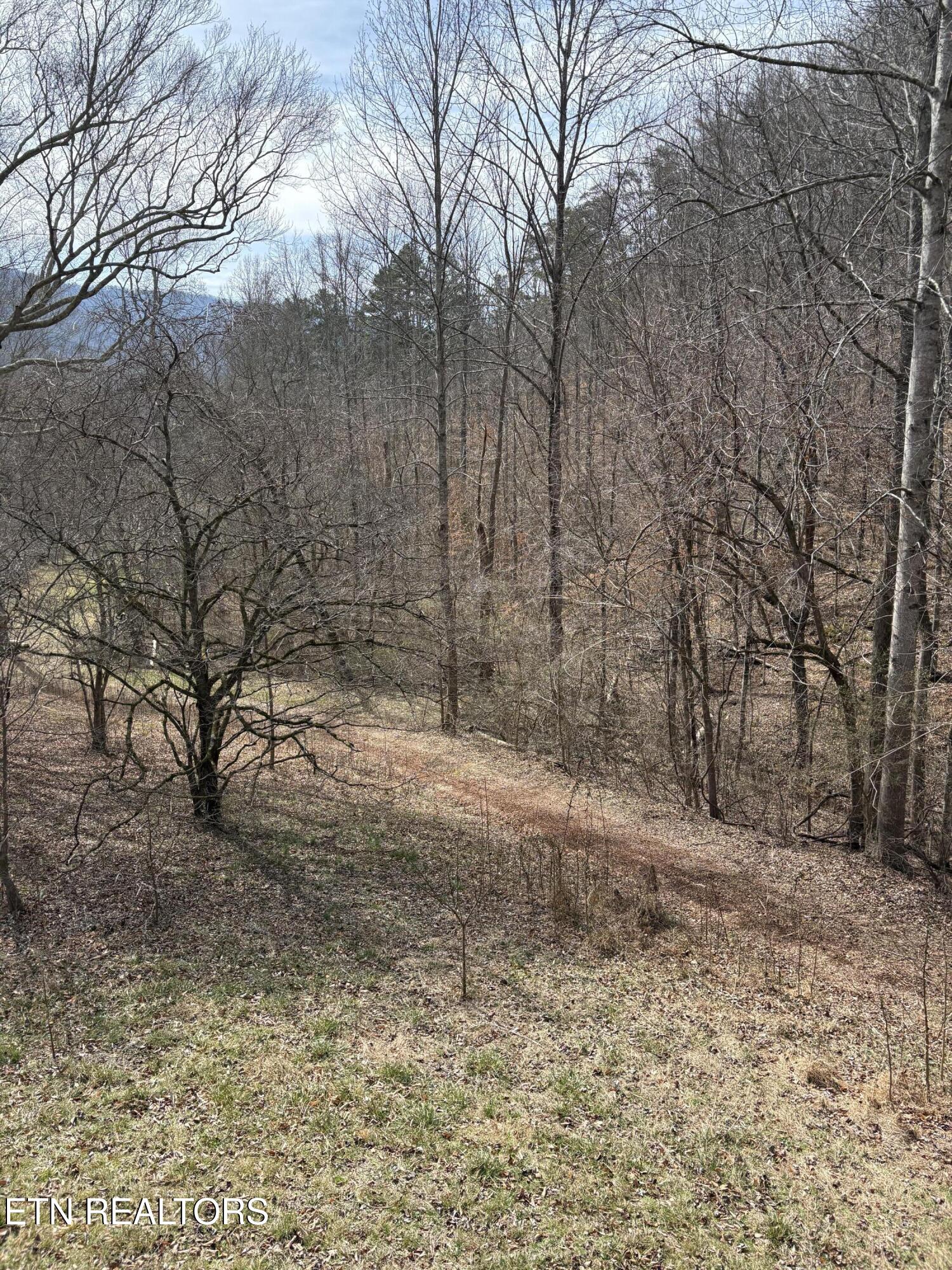 809 State Highway 310 Englewood TN 37329