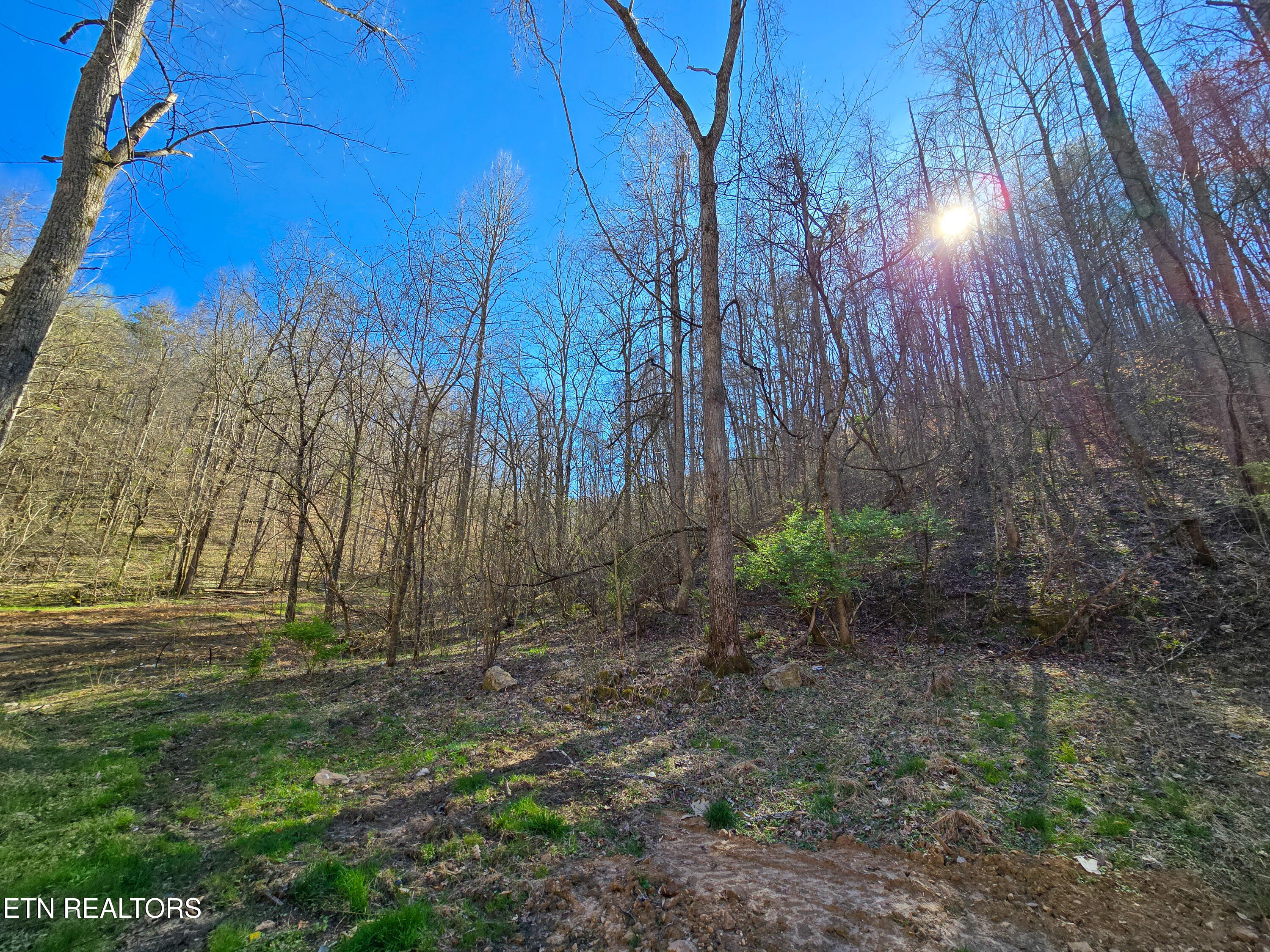 515 Robinson Road New Tazewell TN 37825
