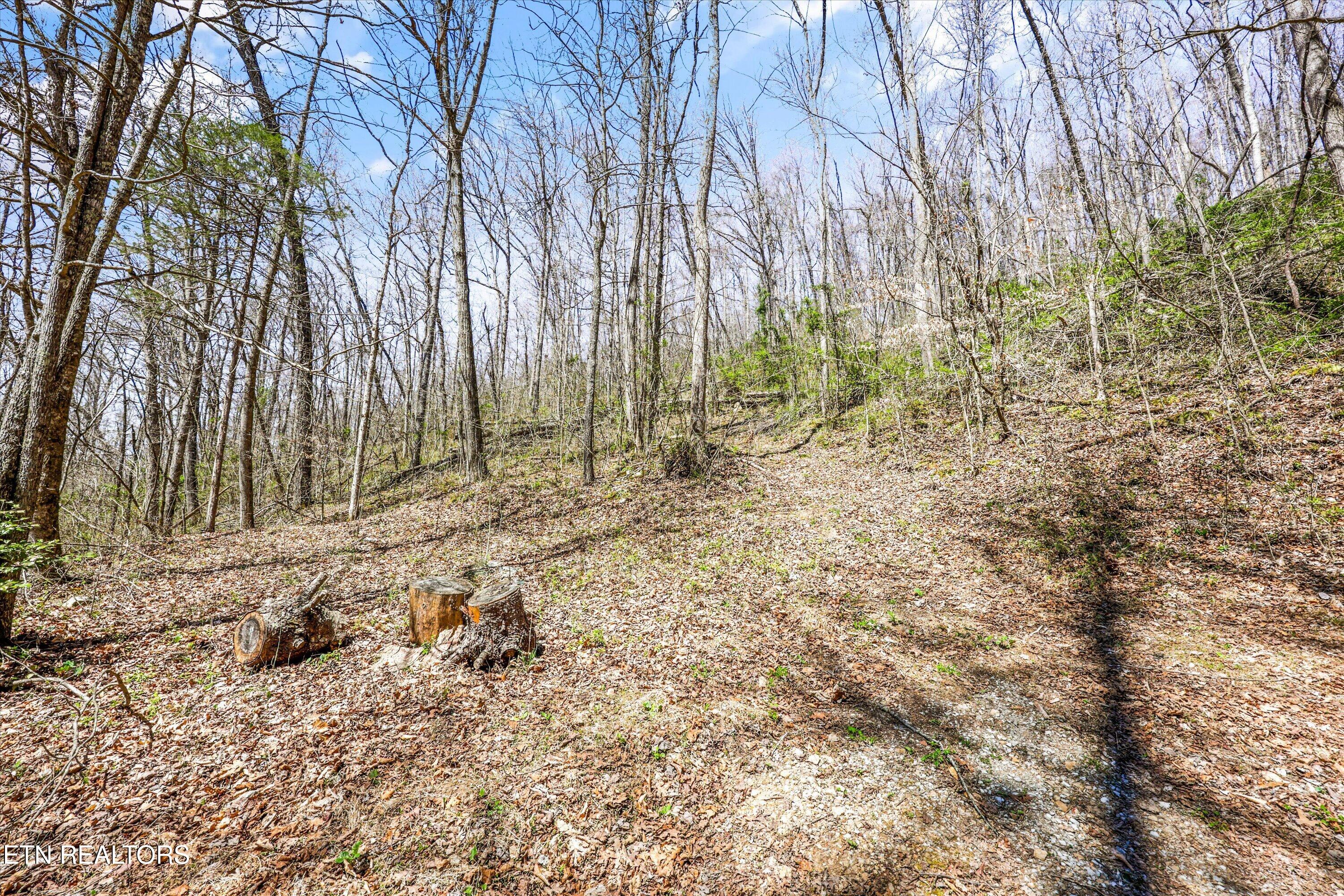 515 Robinson Road New Tazewell TN 37825