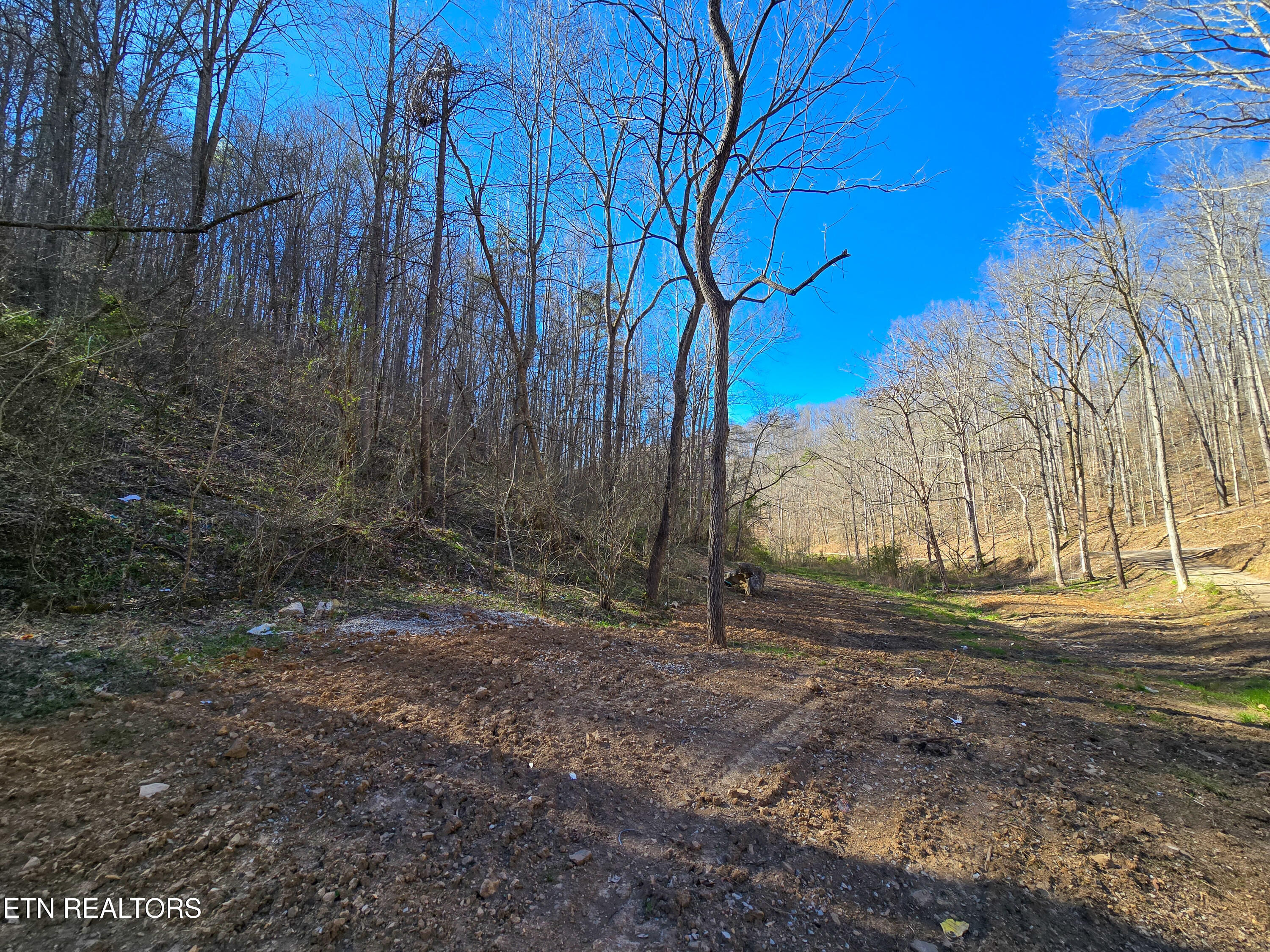 515 Robinson Road New Tazewell TN 37825