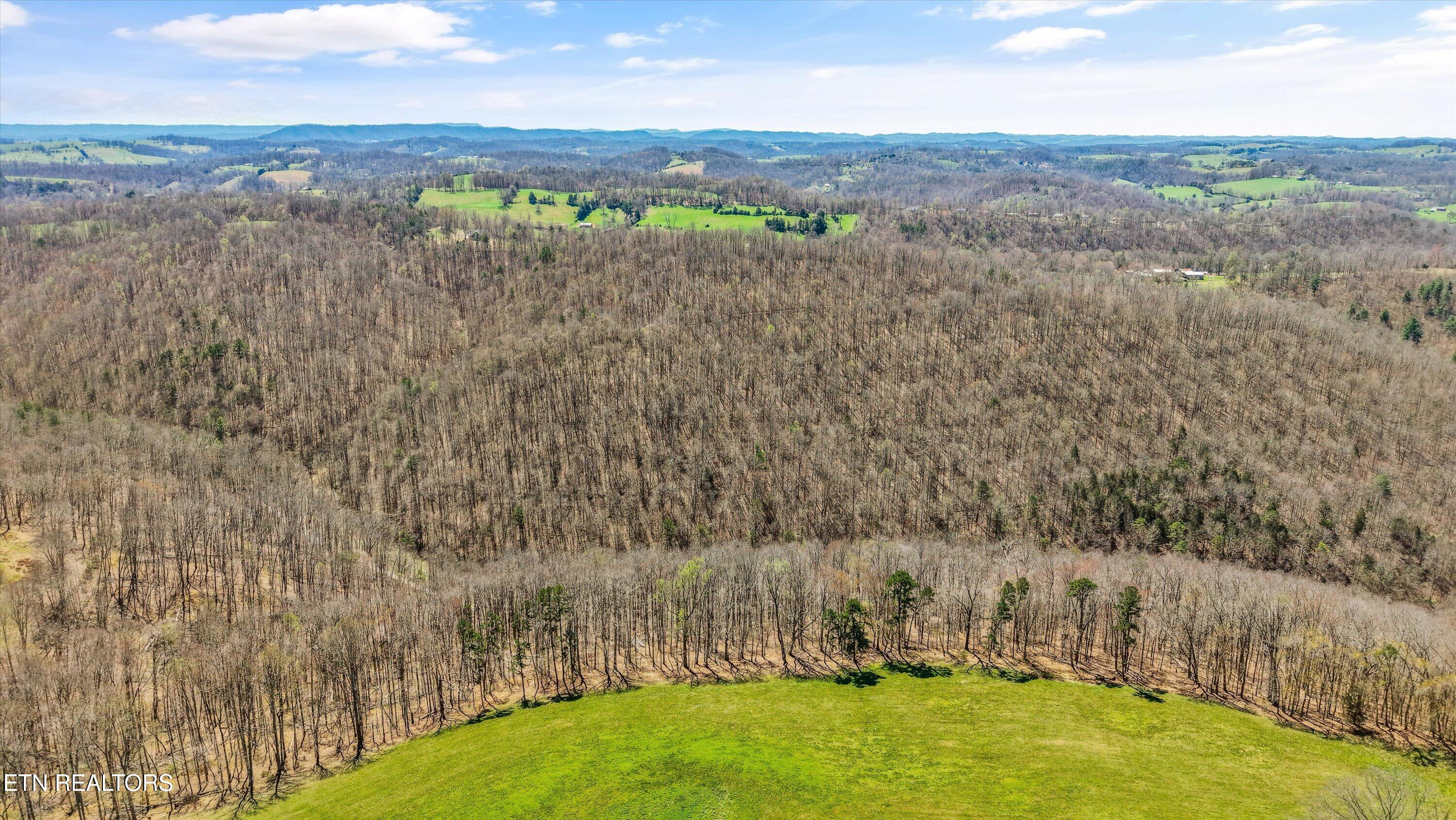 515 Robinson Road New Tazewell TN 37825