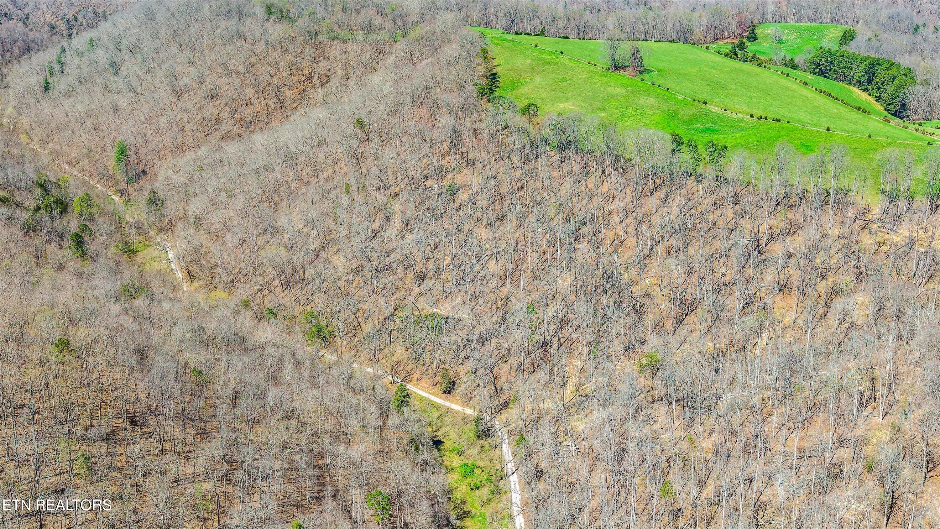 515 Robinson Road New Tazewell TN 37825