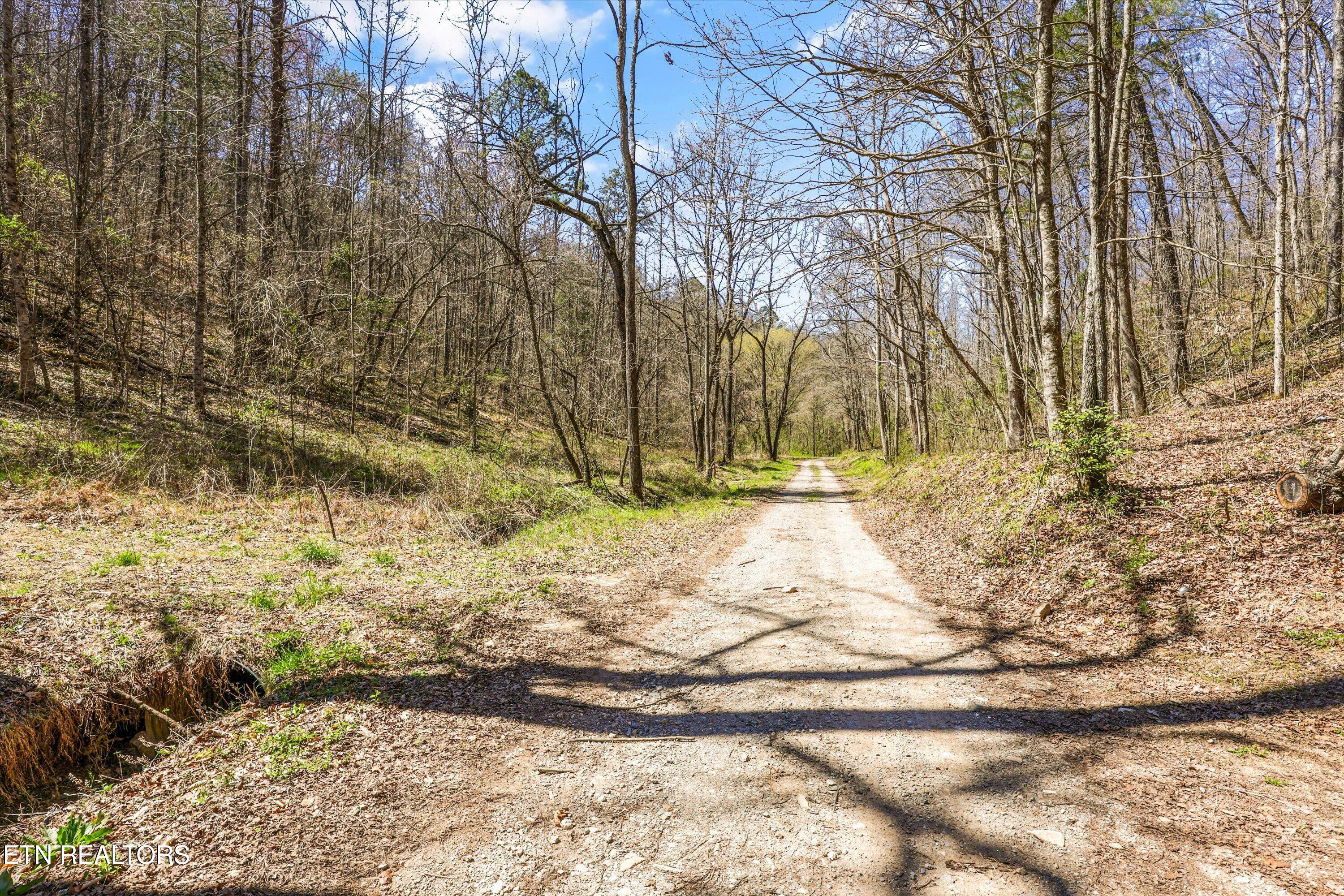 515 Robinson Road New Tazewell TN 37825