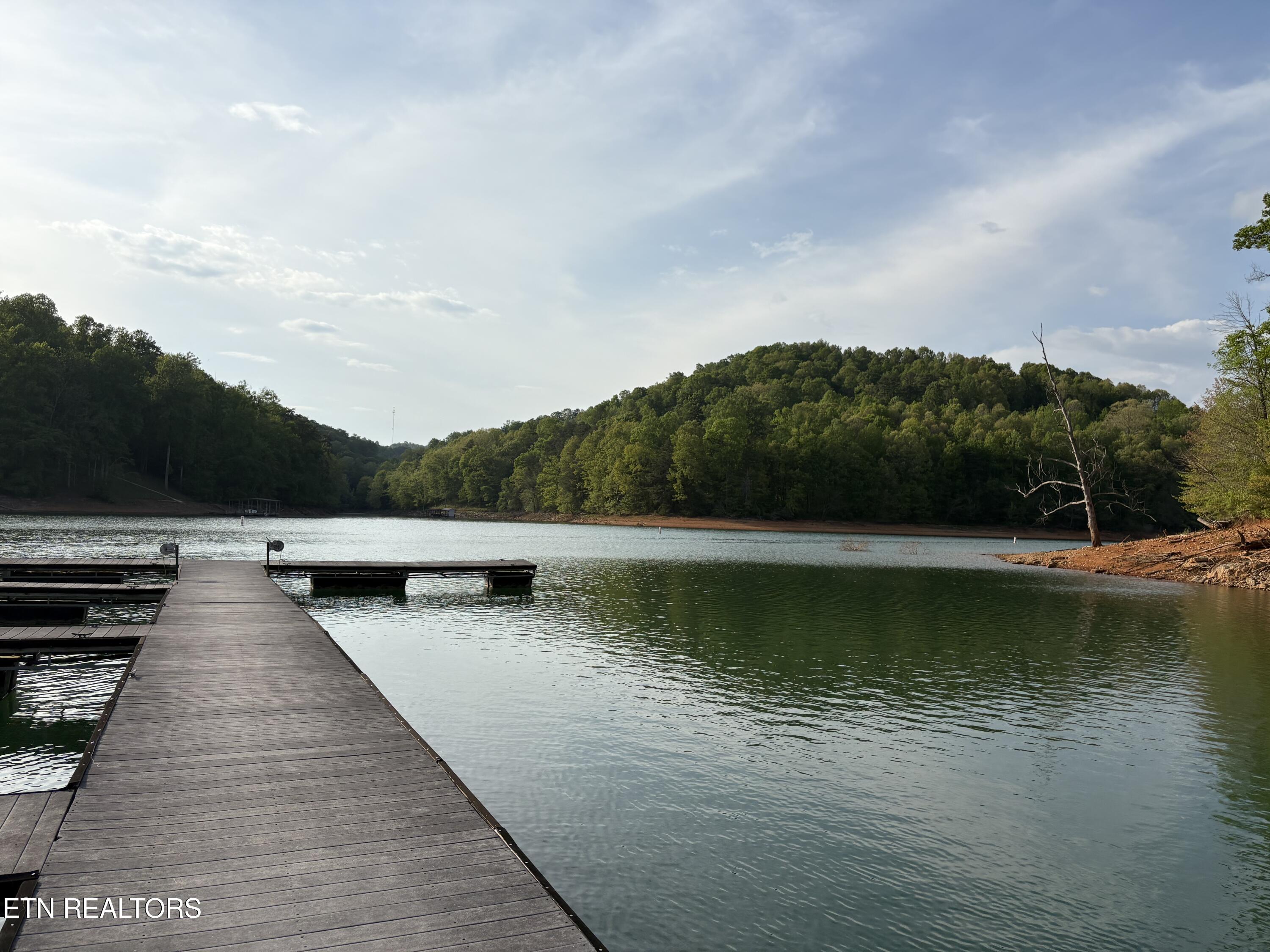 Lot 169 Saddleridge Drive Speedwell TN 37870