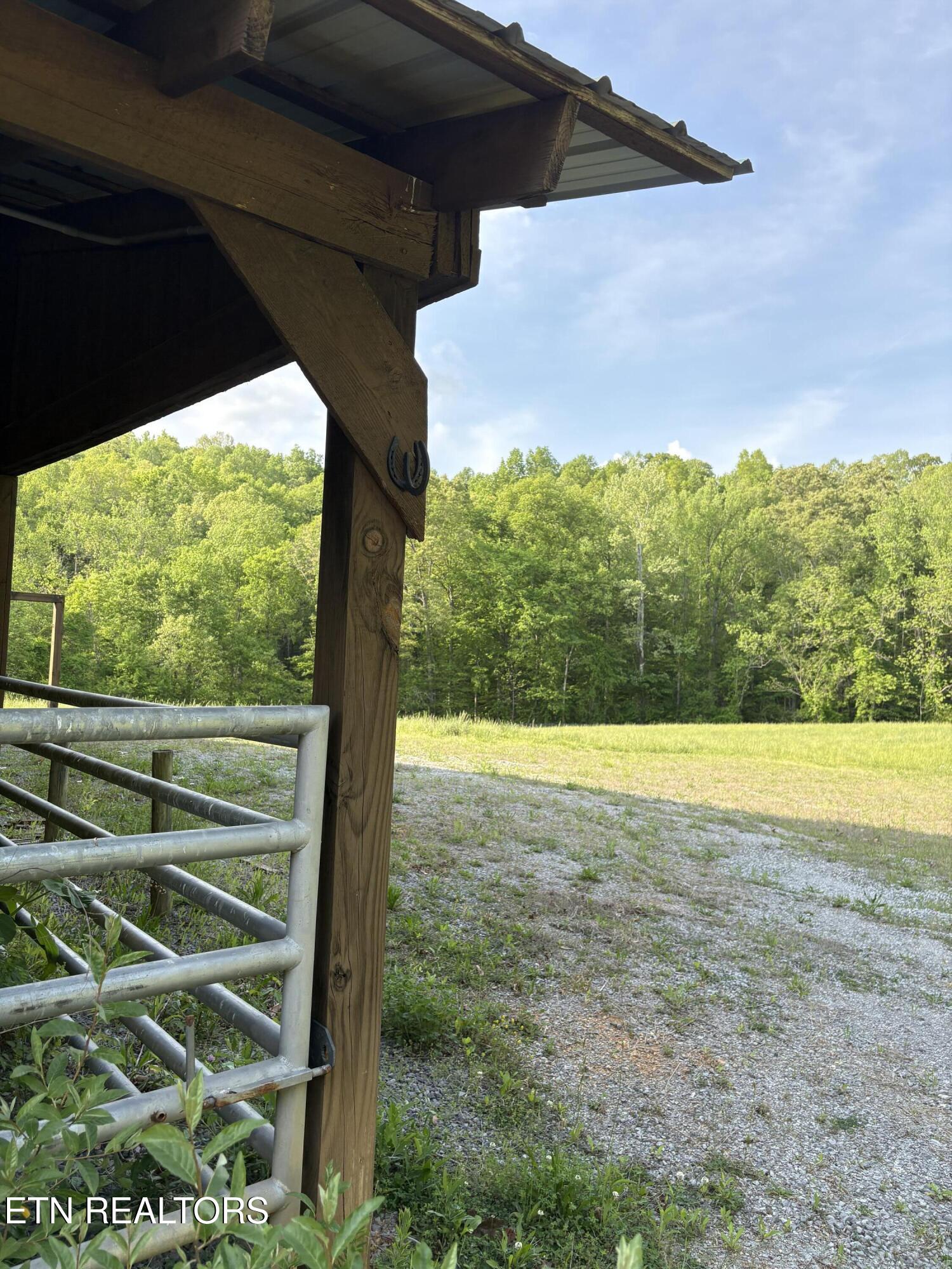 Lot 169 Saddleridge Drive Speedwell TN 37870