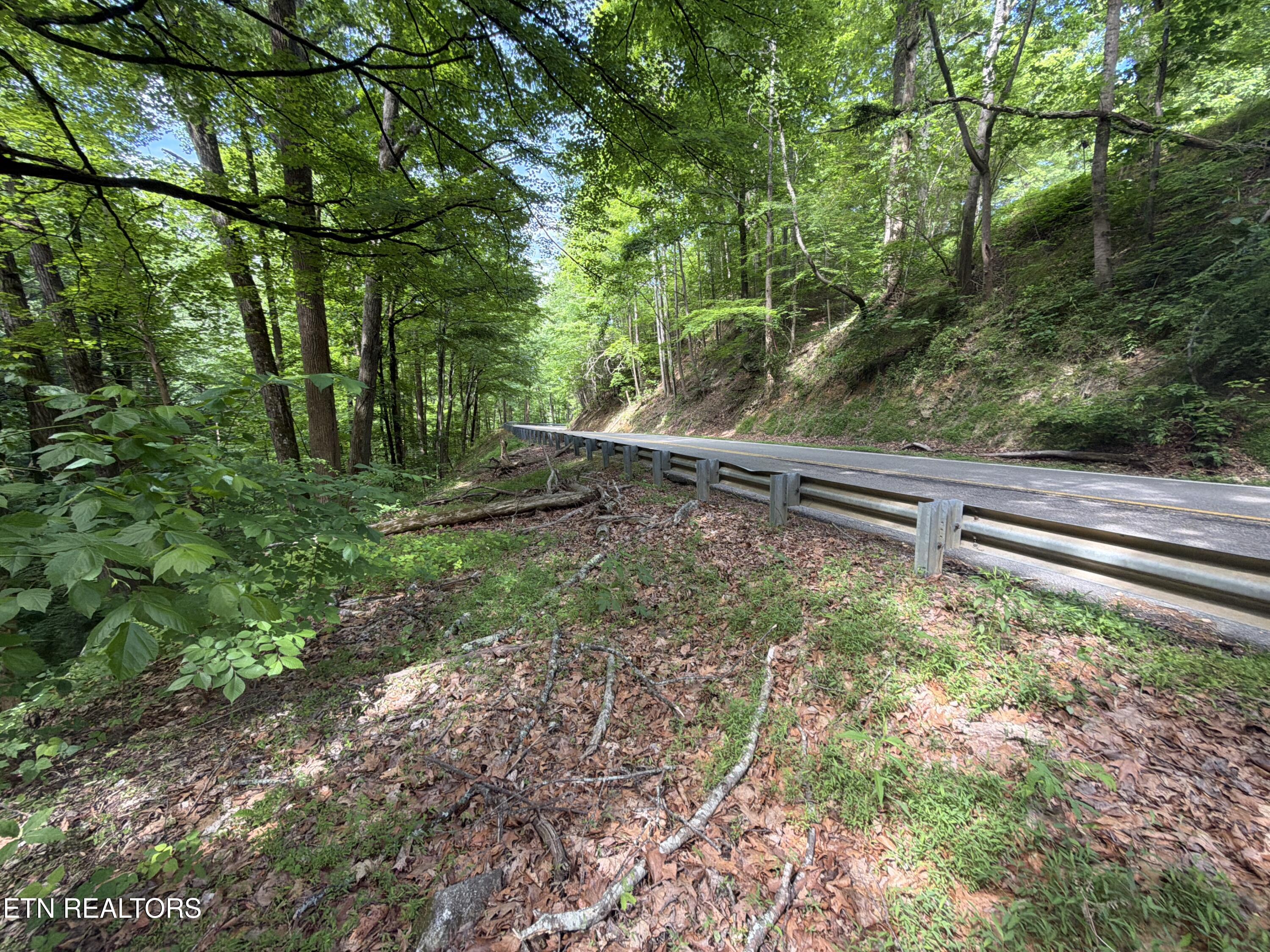 Wears Valley Road Townsend TN 37882