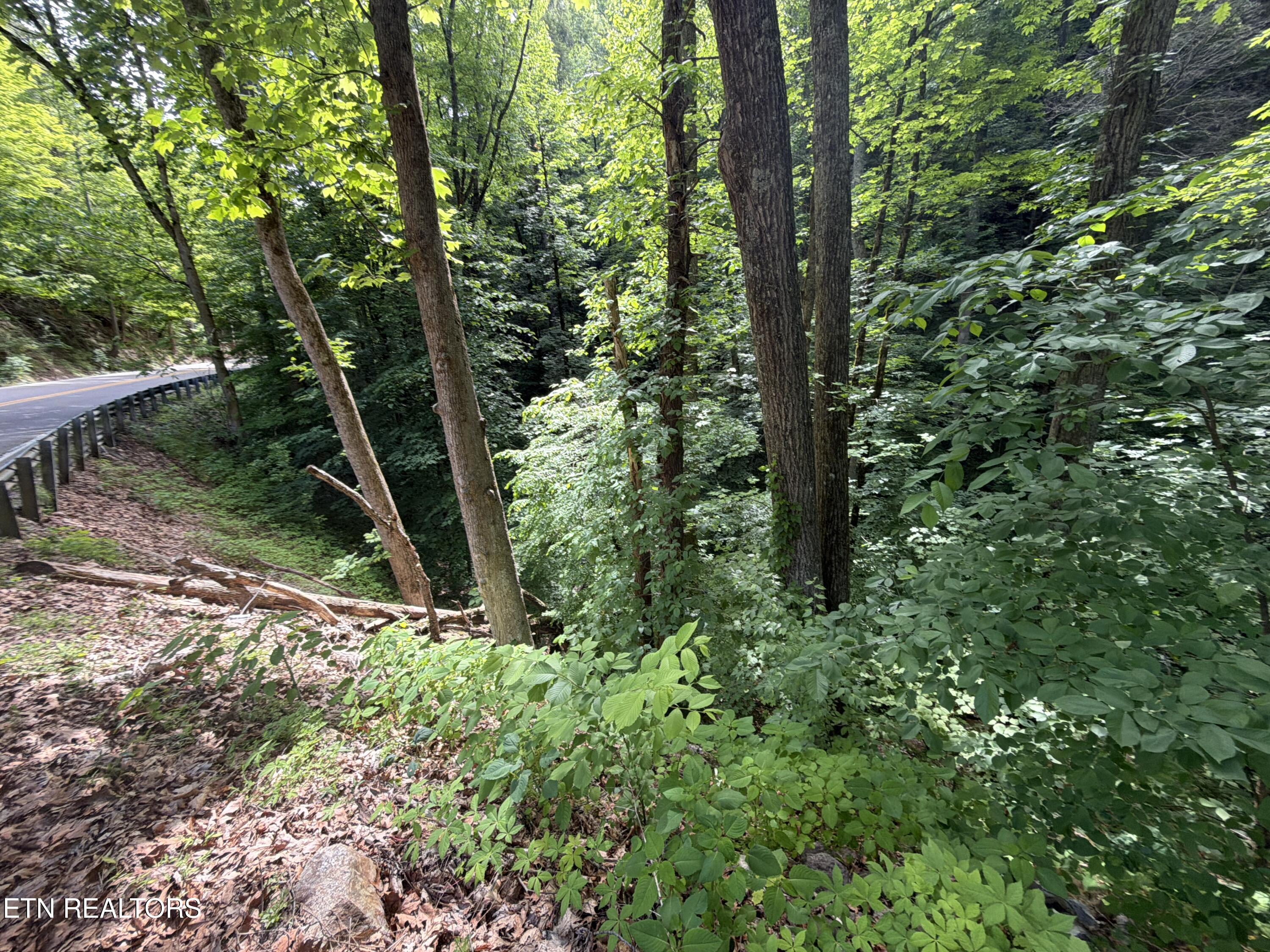 Wears Valley Road Townsend TN 37882