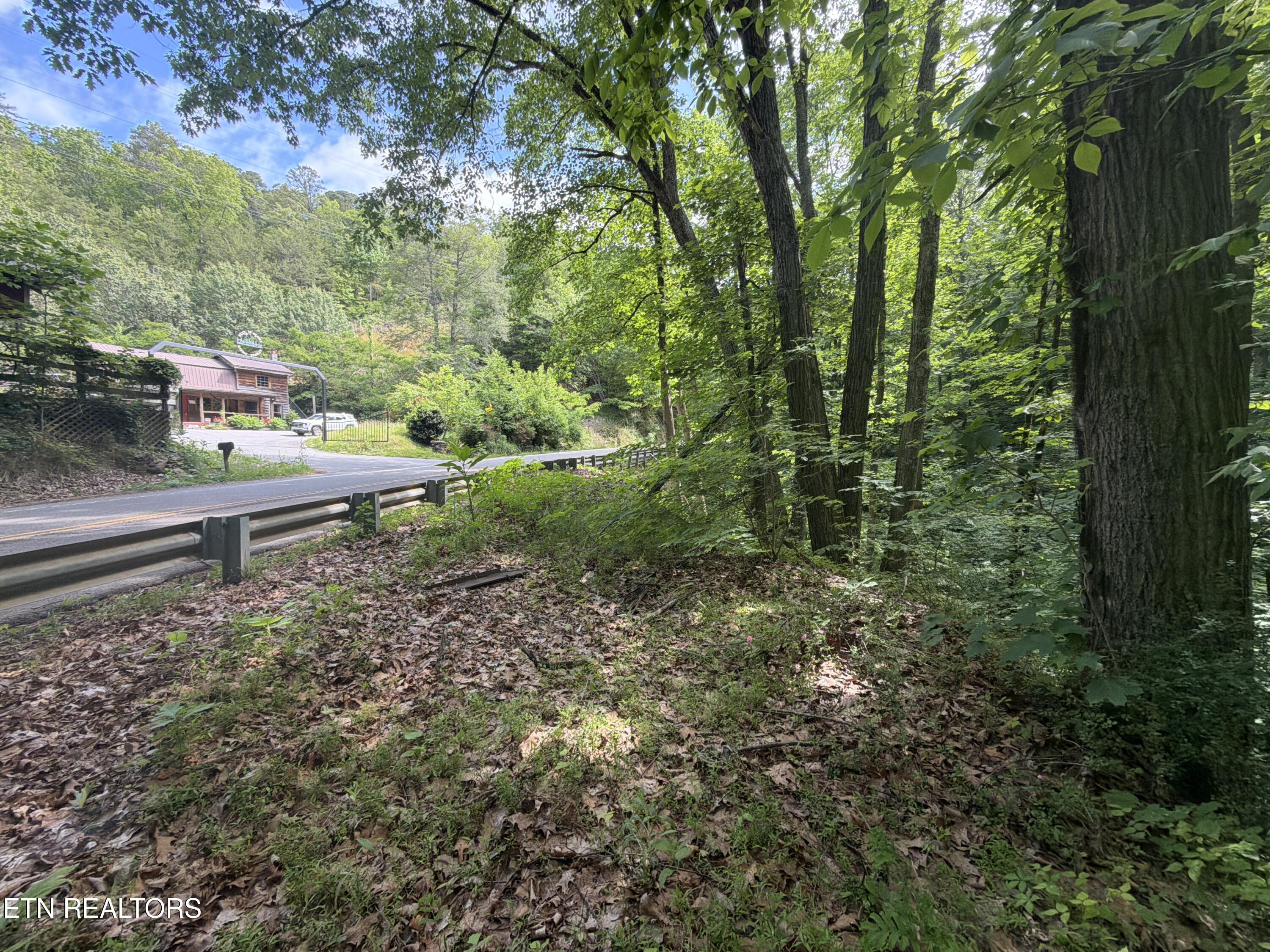 Wears Valley Road Townsend TN 37882