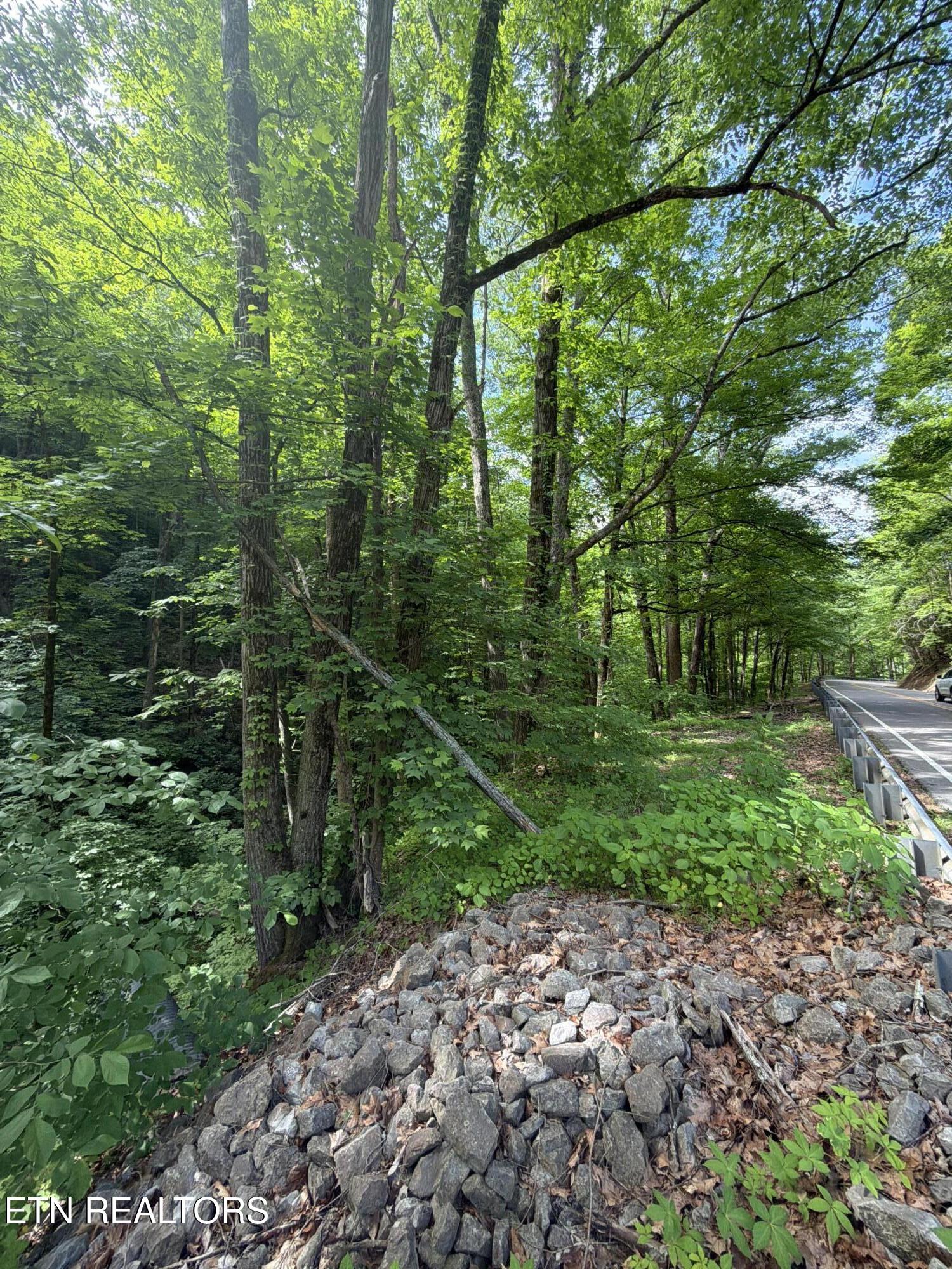 Wears Valley Road Townsend TN 37882