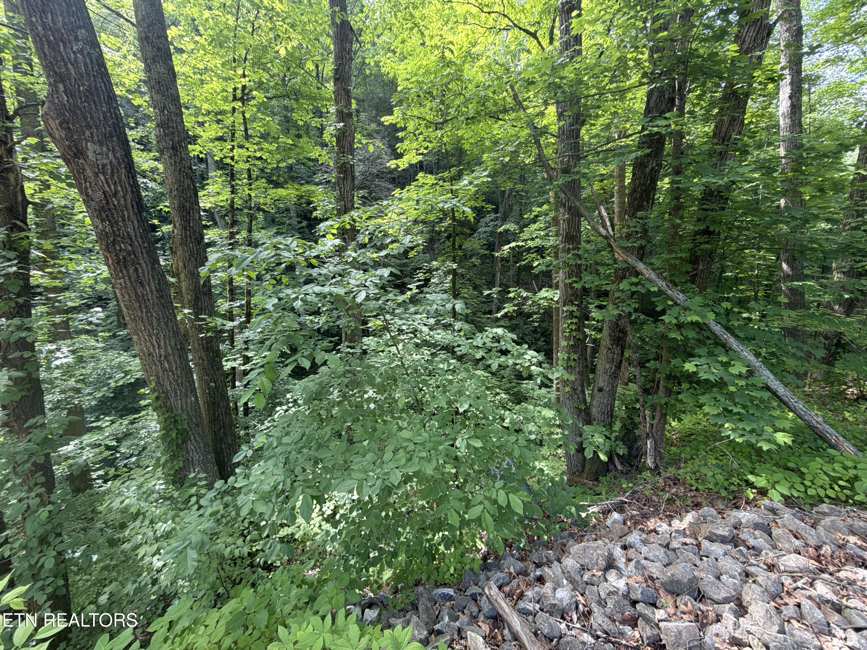 Wears Valley Road Townsend TN 37882