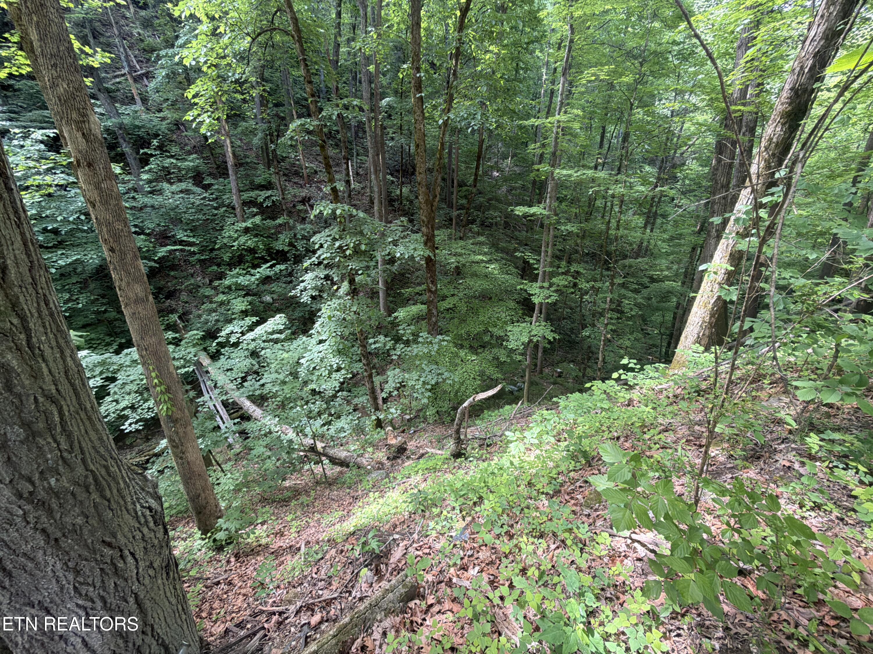 Wears Valley Road Townsend TN 37882