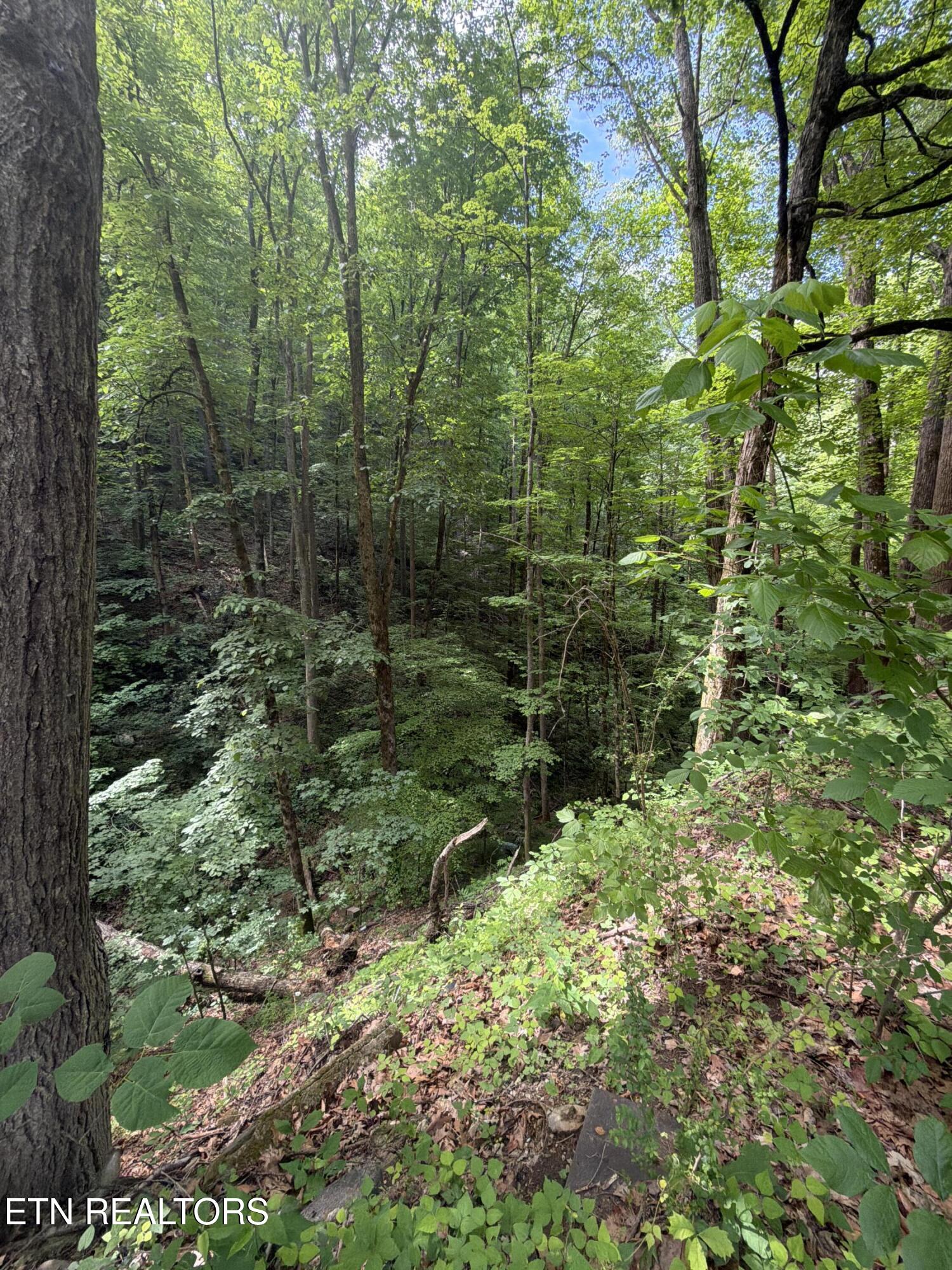 Wears Valley Road Townsend TN 37882