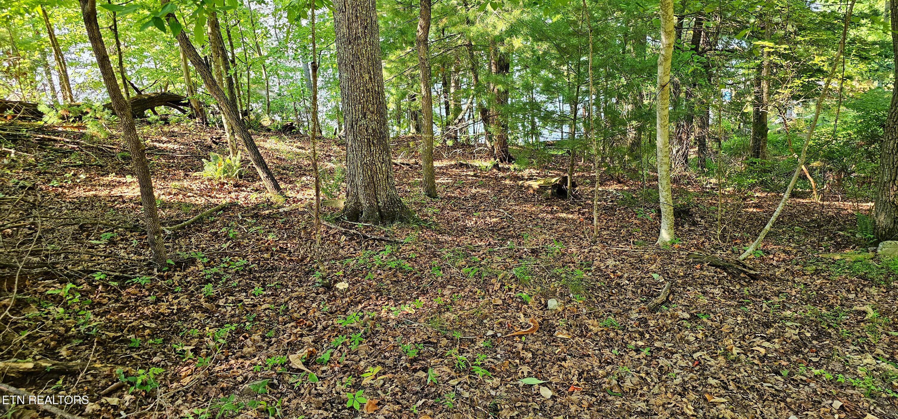 53 Markham Terrace Crossville TN 38558
