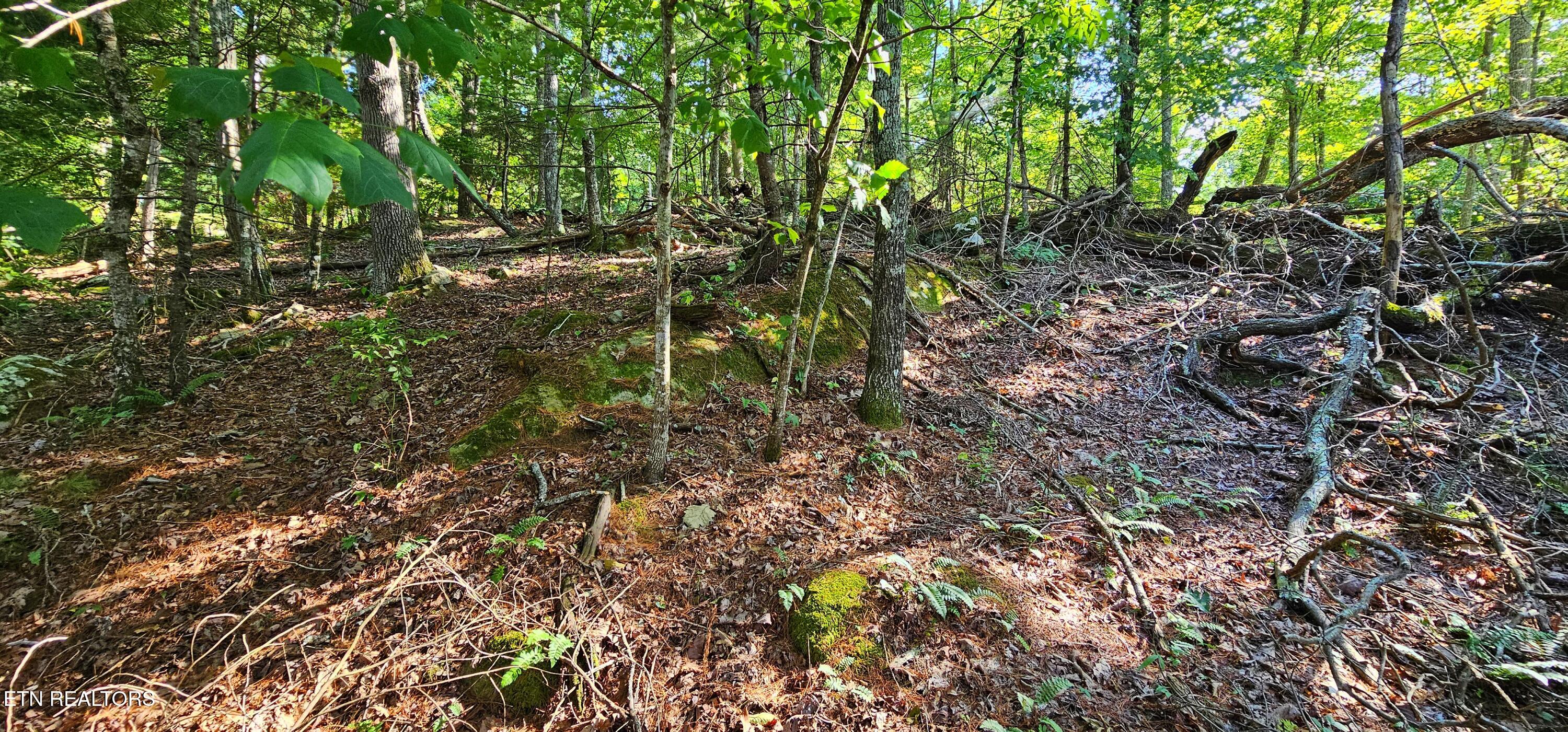 53 Markham Terrace Crossville TN 38558
