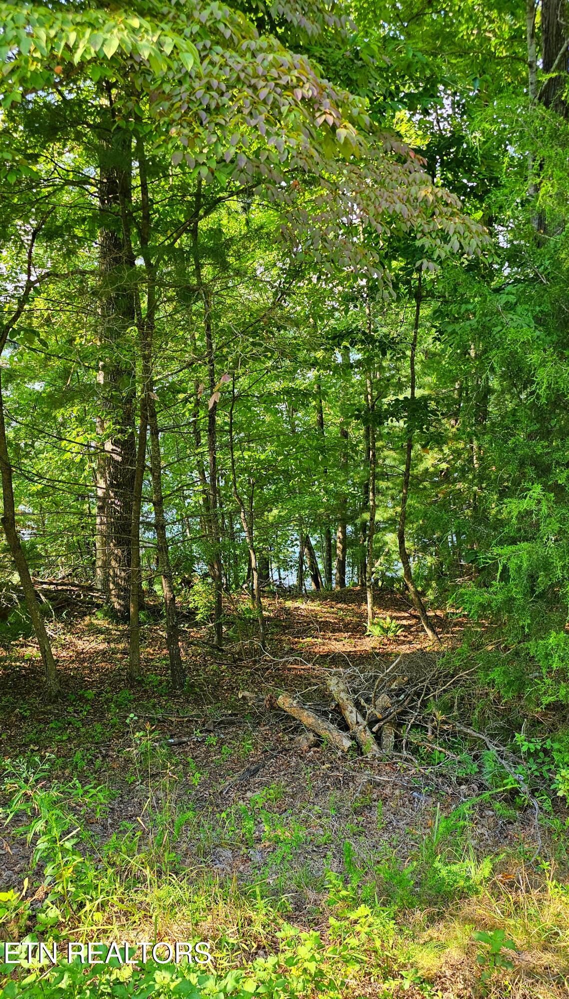 53 Markham Terrace Crossville TN 38558