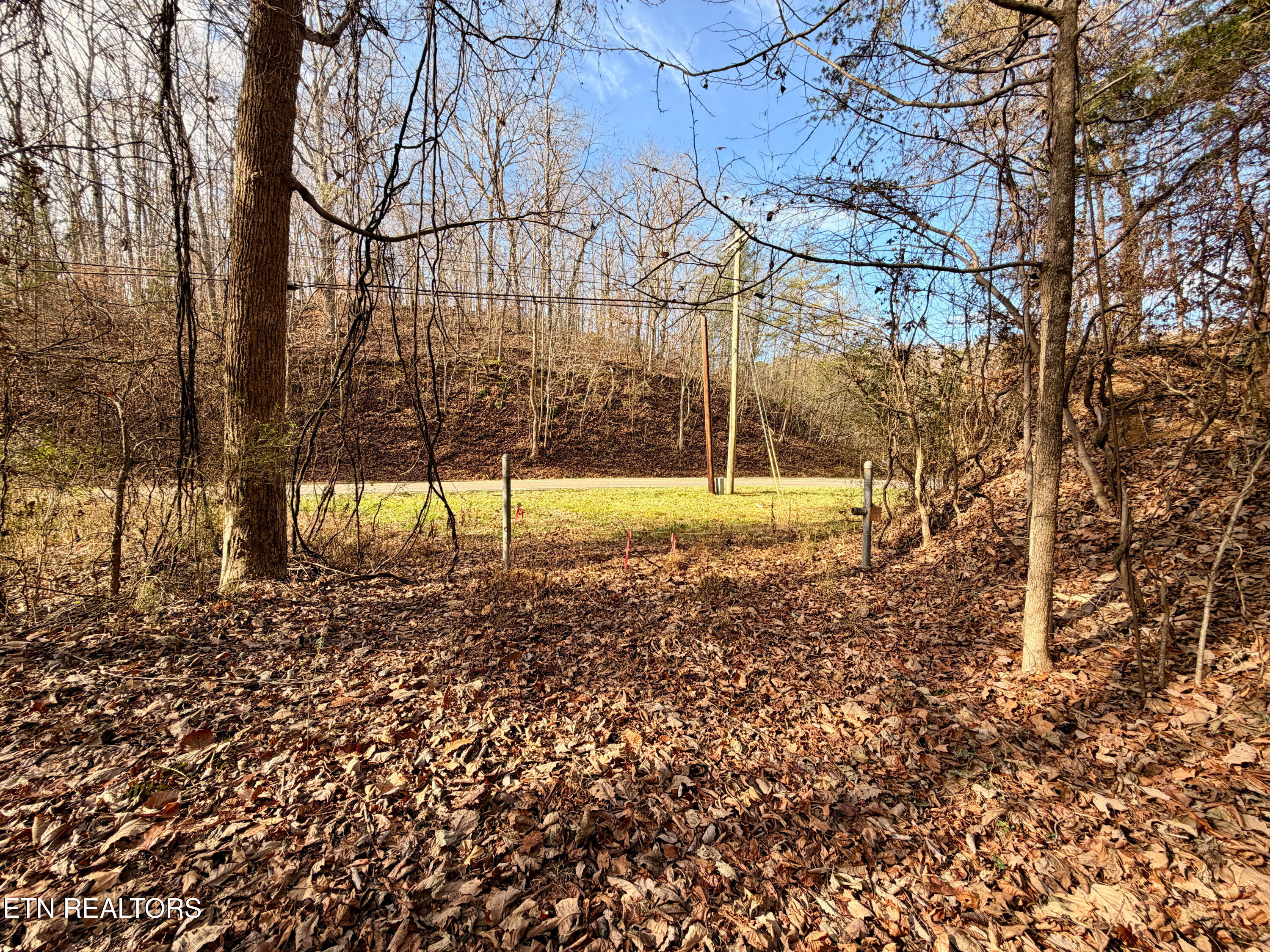 Laurel Bluff Road Kingston TN 37763