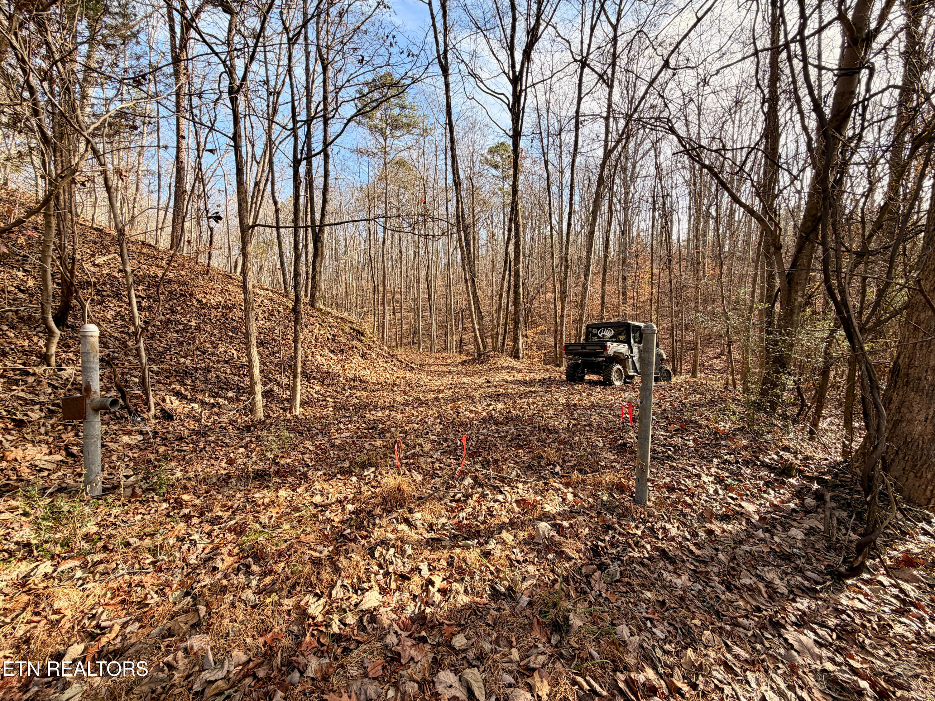 Laurel Bluff Road Kingston TN 37763
