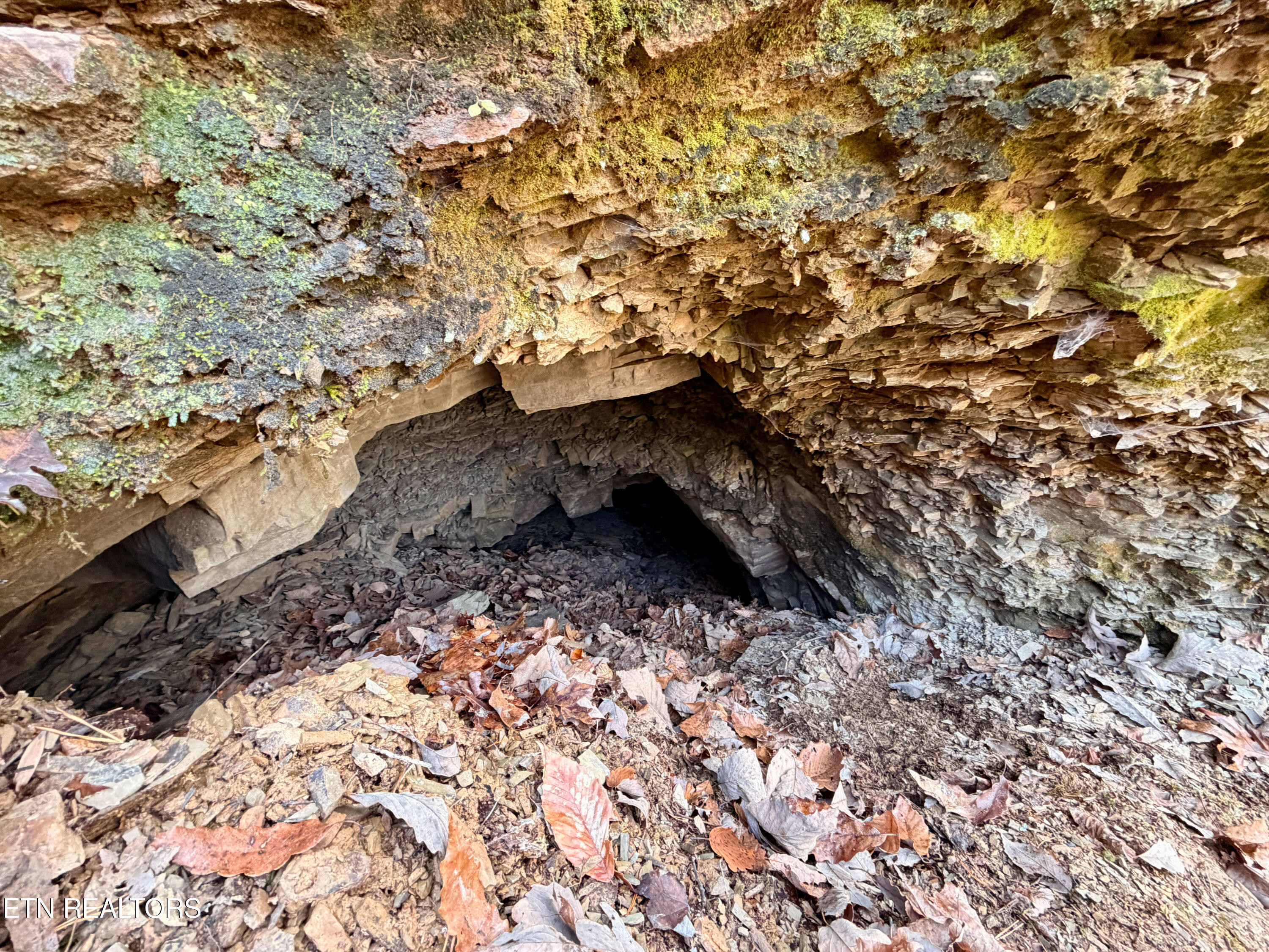 Laurel Bluff Road Kingston TN 37763