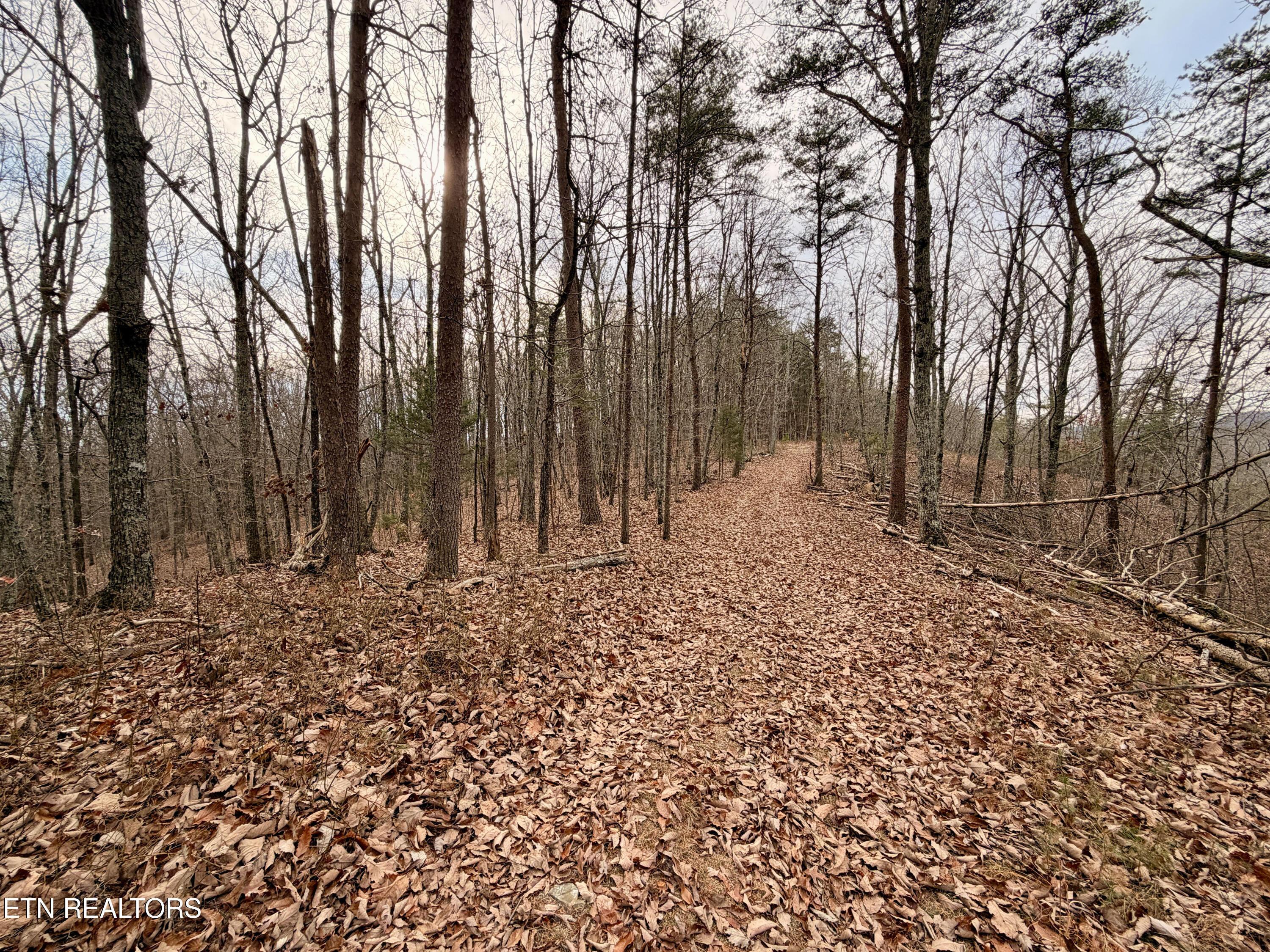 Laurel Bluff Road Kingston TN 37763