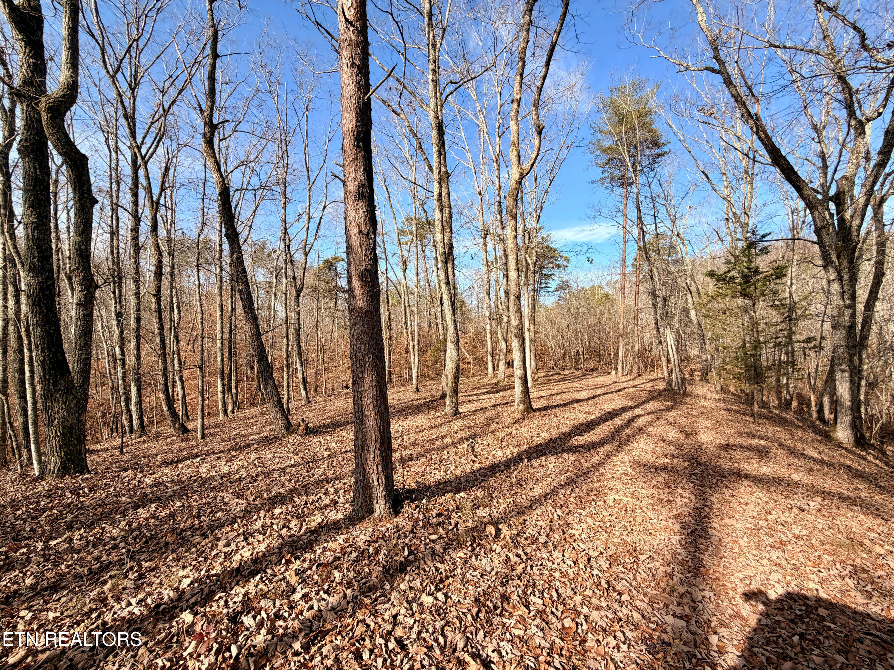 Laurel Bluff Road Kingston TN 37763