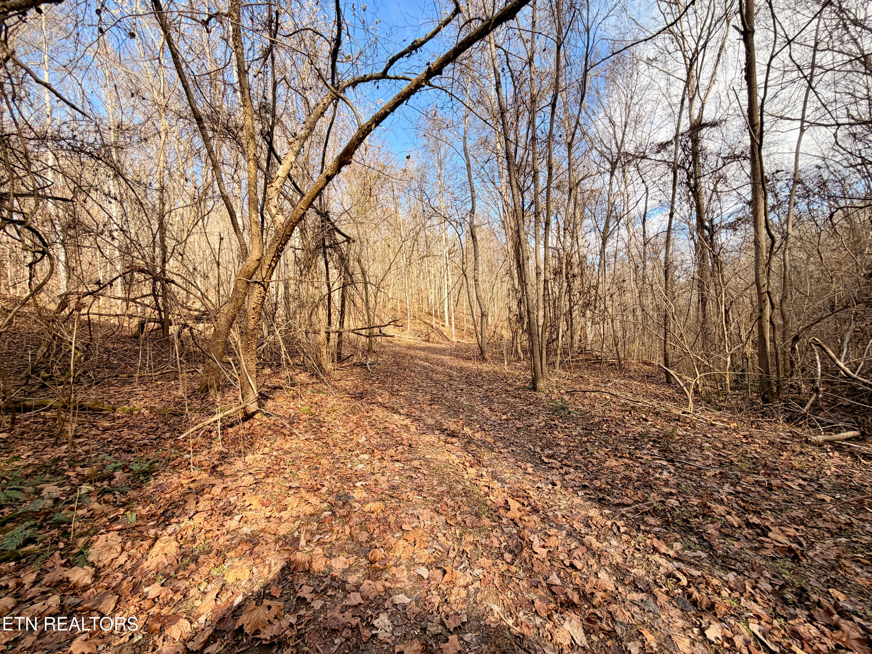 Laurel Bluff Road Kingston TN 37763
