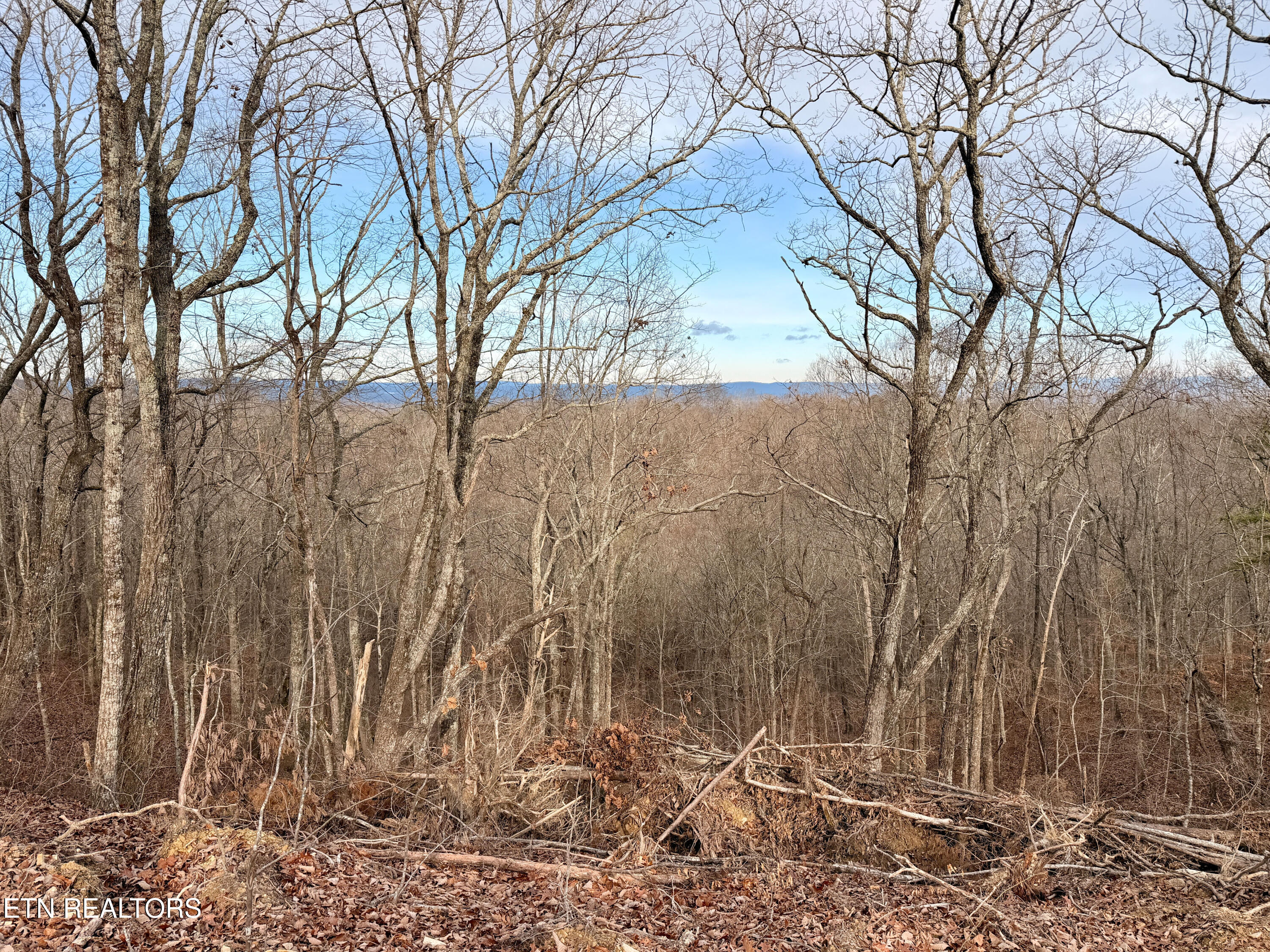 Laurel Bluff Road Kingston TN 37763