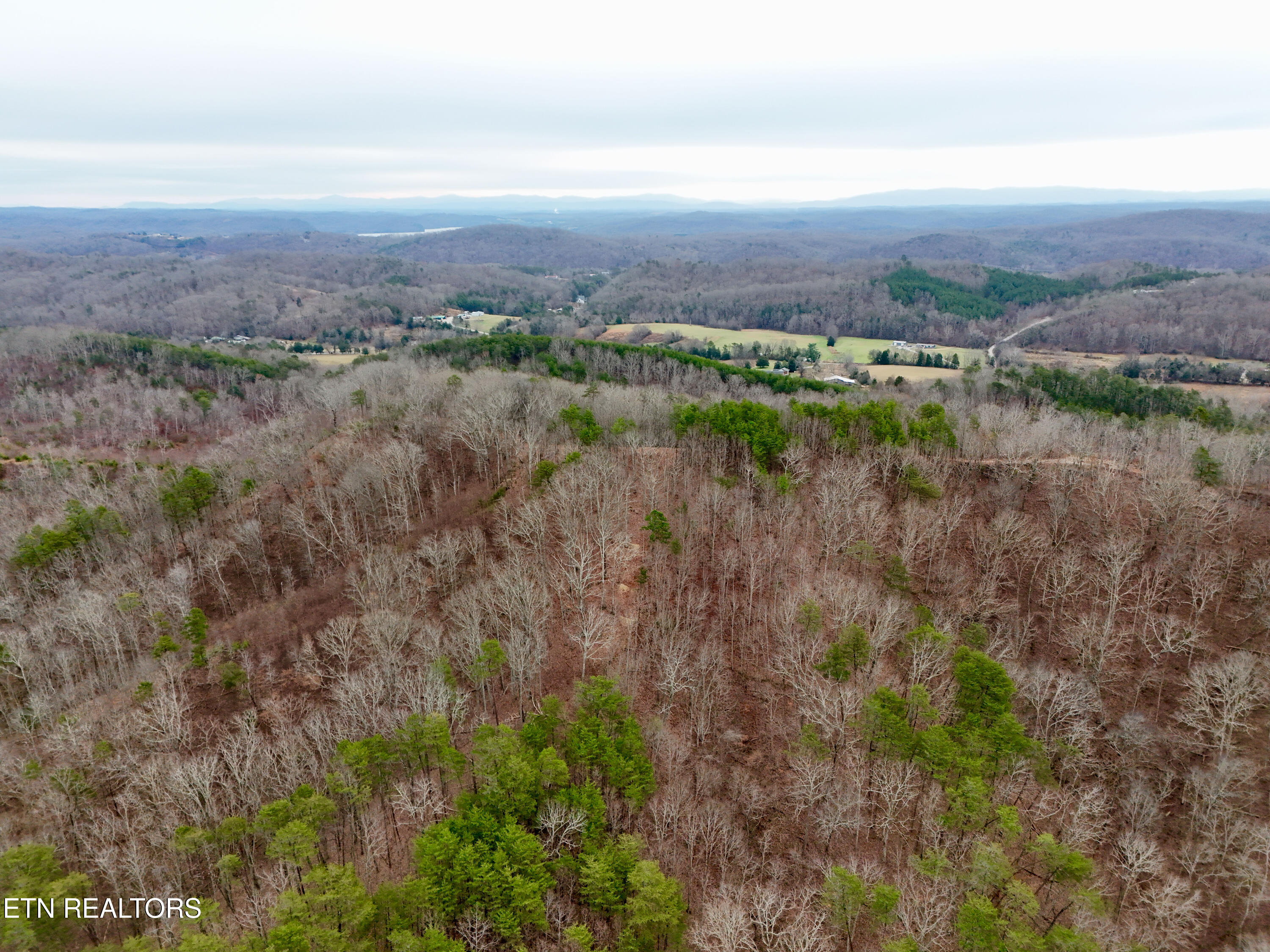 Laurel Bluff Road Kingston TN 37763