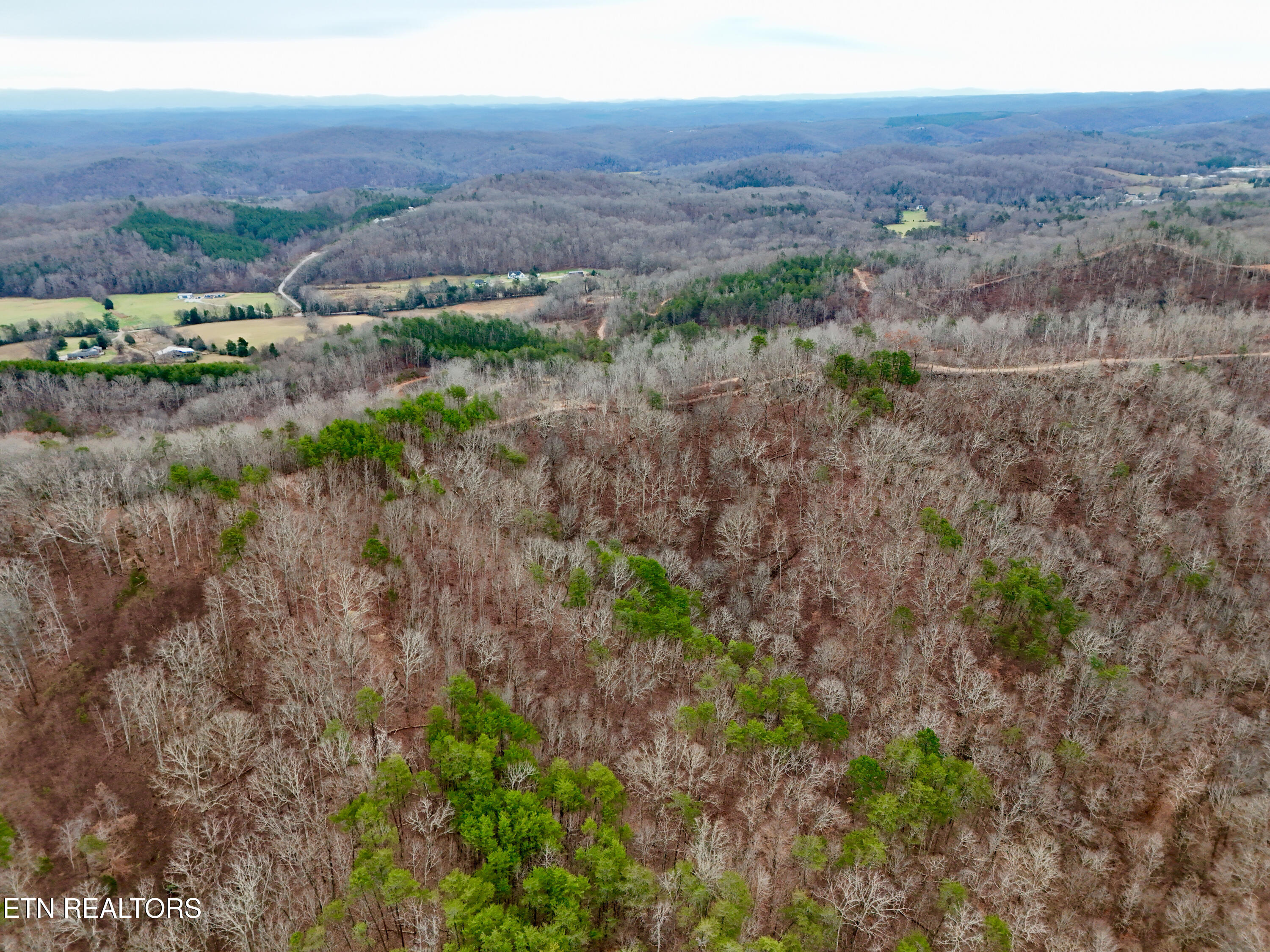 Laurel Bluff Road Kingston TN 37763