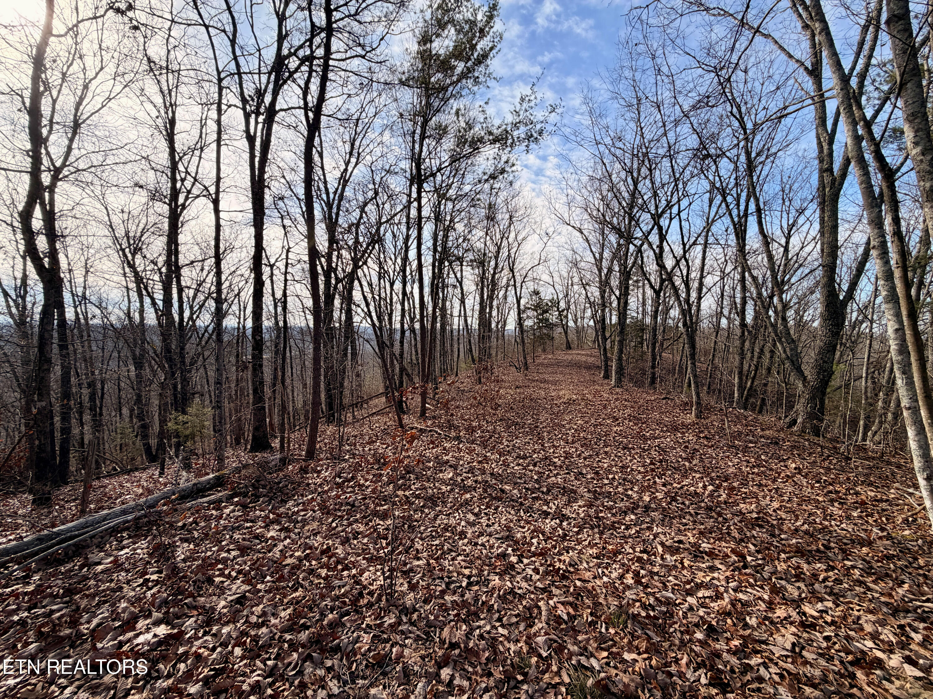 Laurel Bluff Road Kingston TN 37763