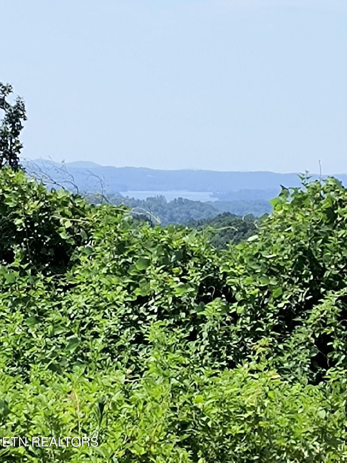 Ashe Cabin Hollow Road Harriman TN 37748