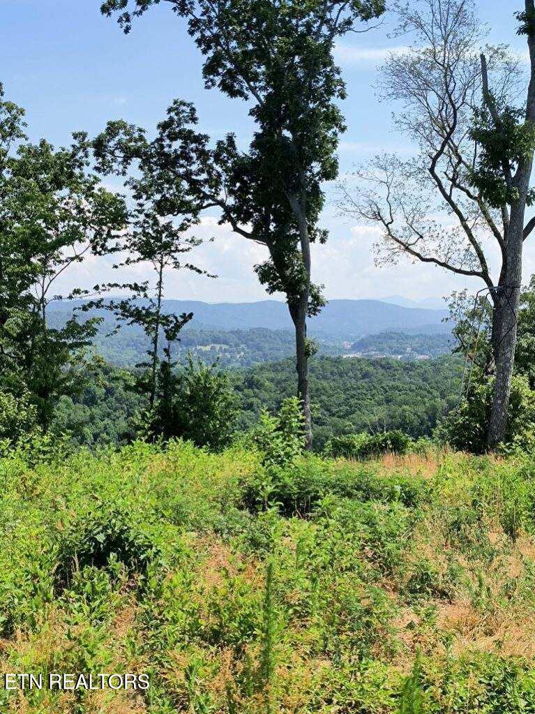Ashe Cabin Hollow Road Harriman TN 37748