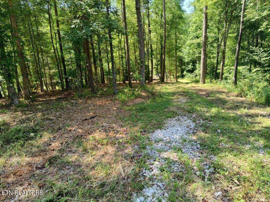 Ashe Cabin Hollow Road Harriman TN 37748