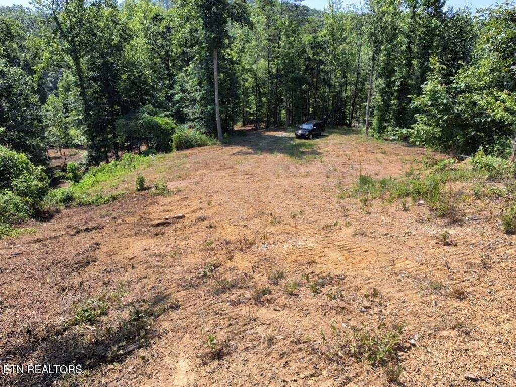 Ashe Cabin Hollow Road Harriman TN 37748