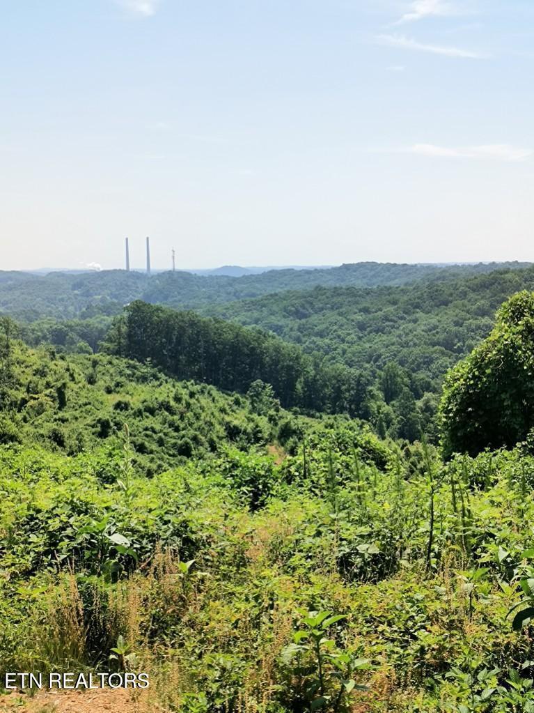 Ashe Cabin Hollow Road Harriman TN 37748