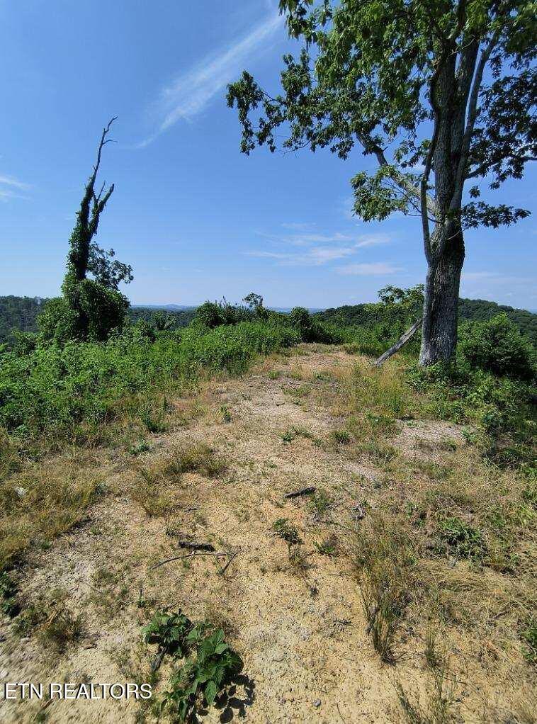 Ashe Cabin Hollow Road Harriman TN 37748