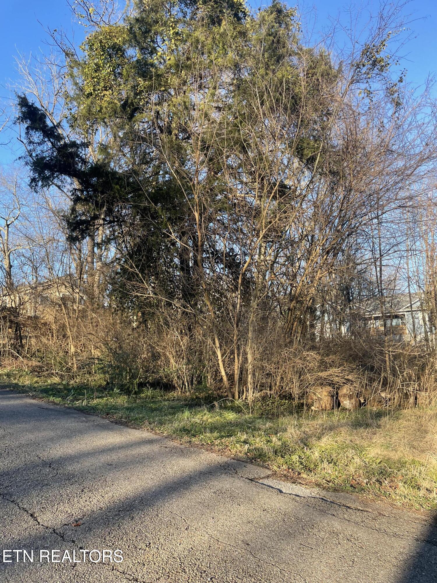0 Leconte Road Knoxville TN 37914