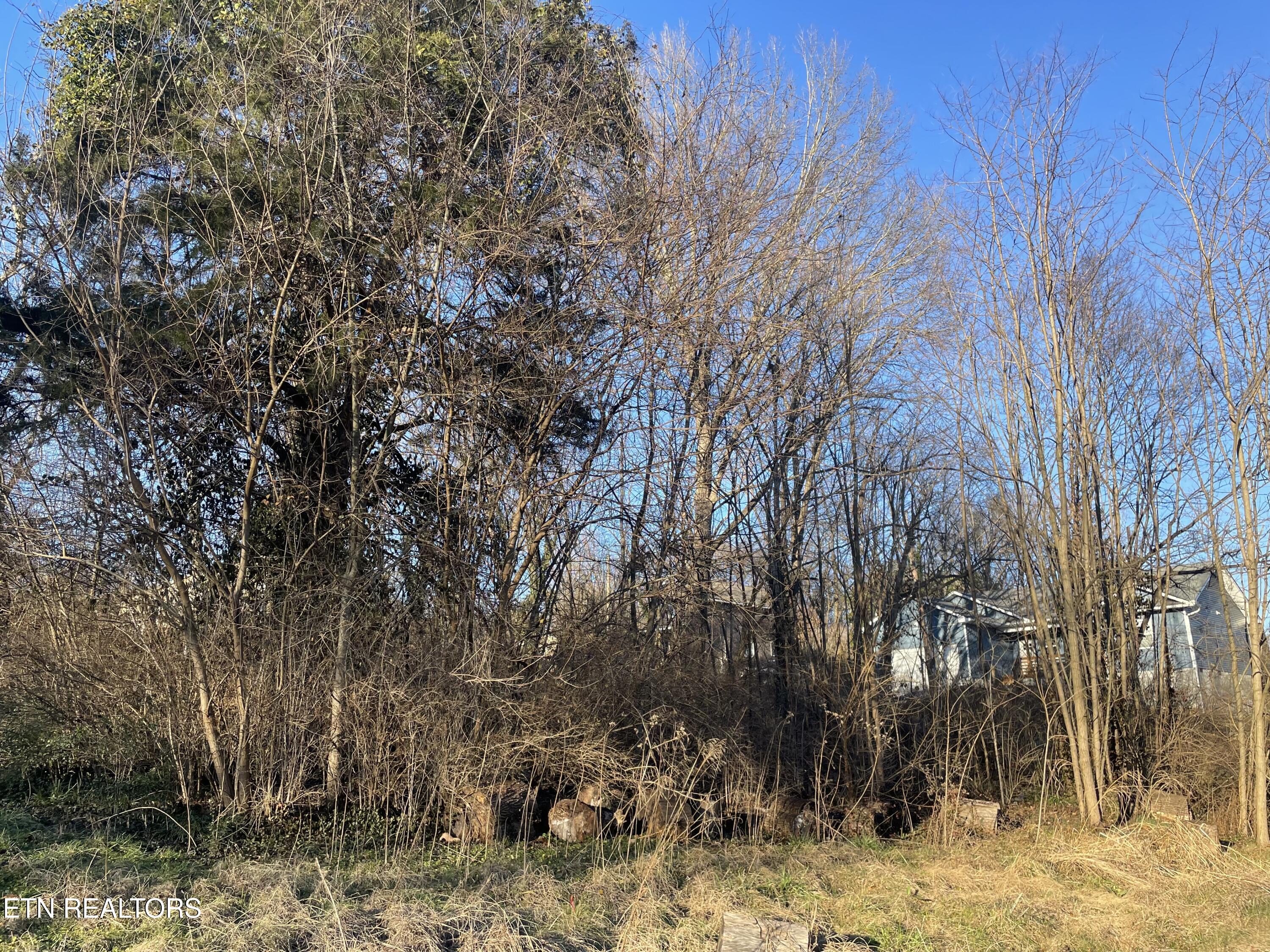0 Leconte Road Knoxville TN 37914