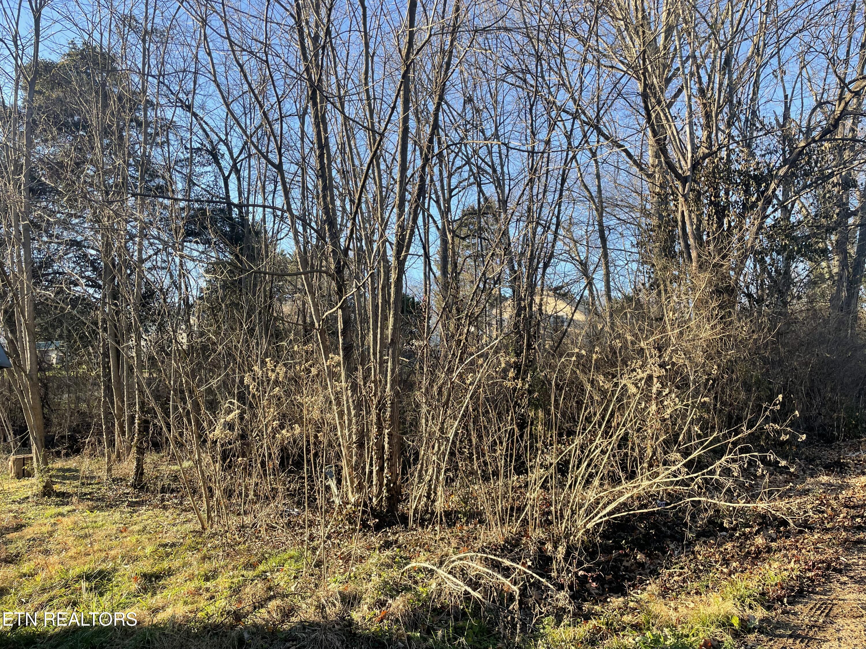 0 Leconte Road Knoxville TN 37914